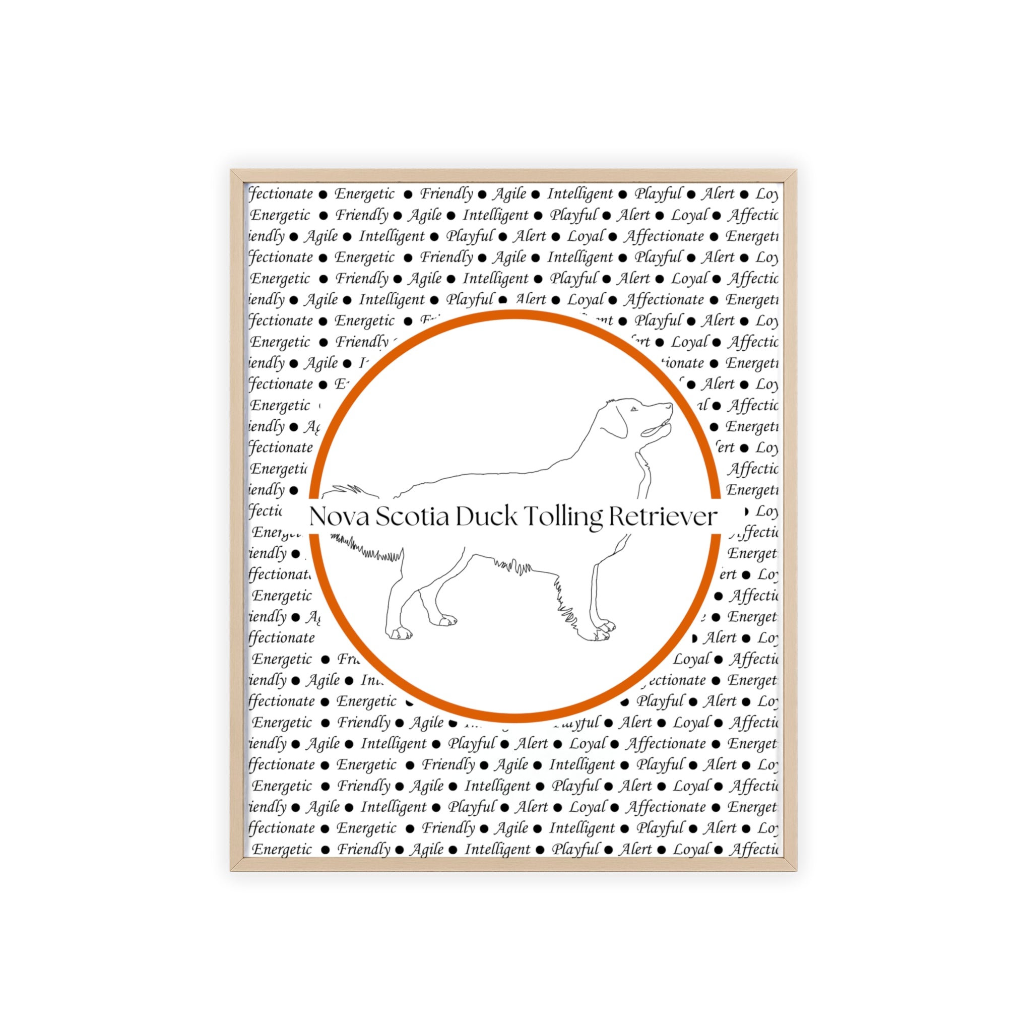 Poster i träram (tavla) med Nova Scotia Duck Tolling Retriever-motiv