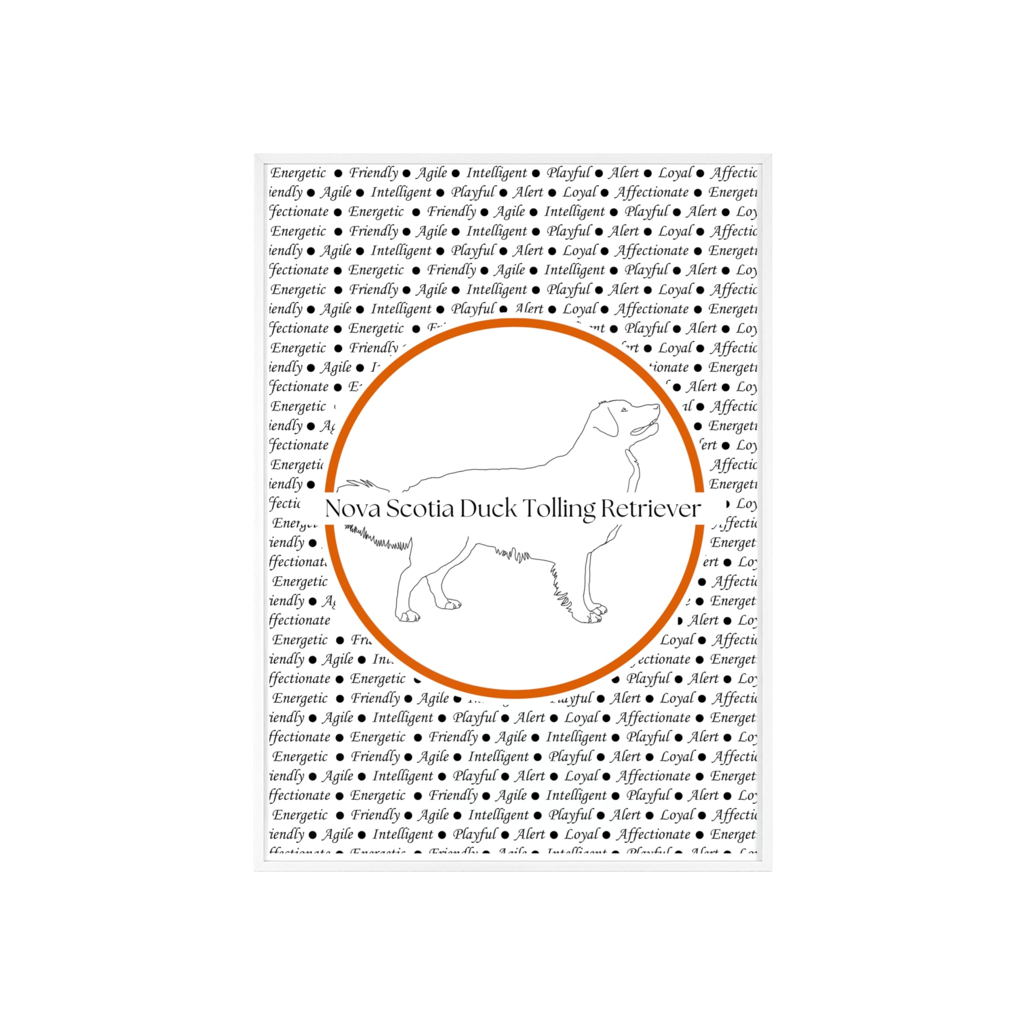 Poster i träram (tavla) med Nova Scotia Duck Tolling Retriever-motiv