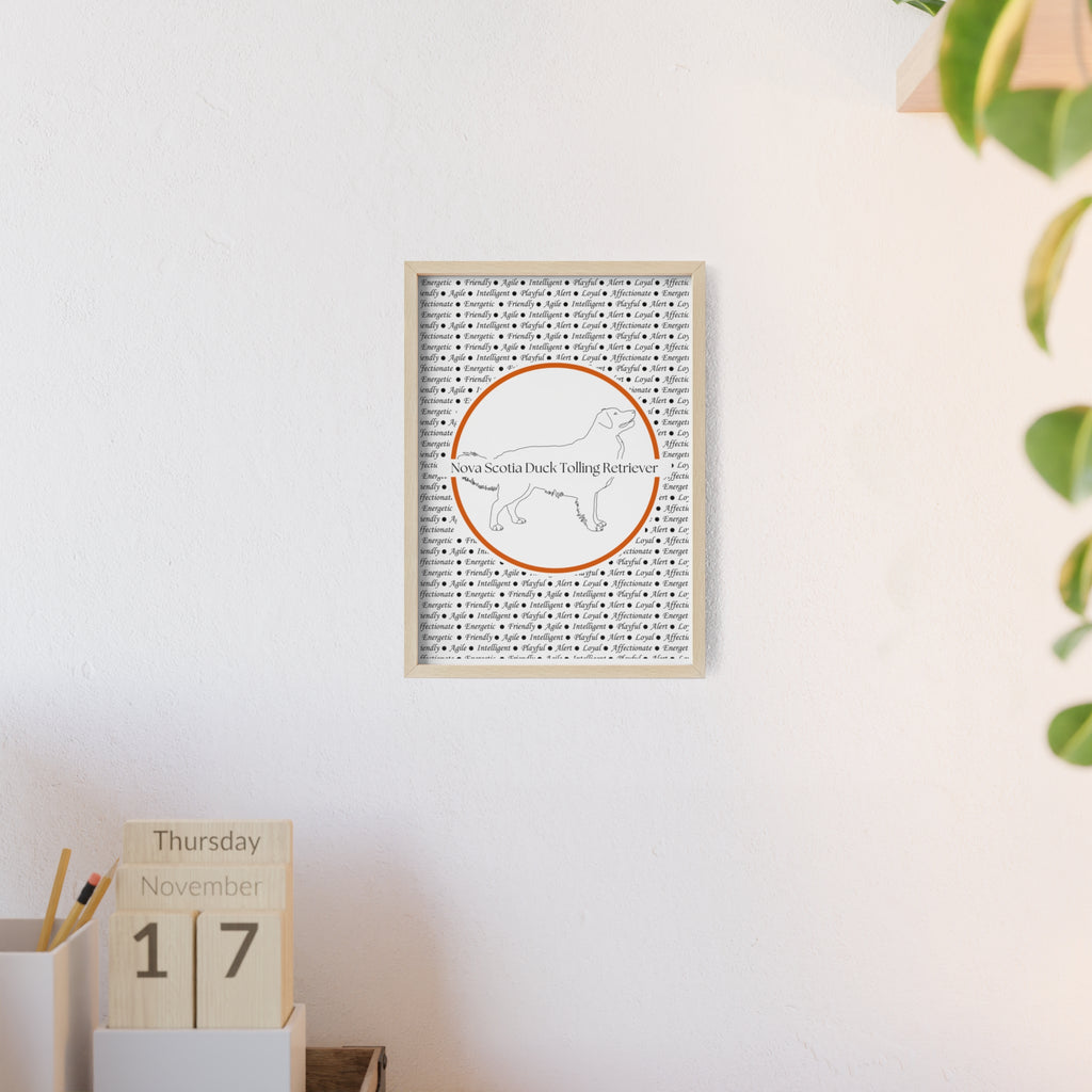 Poster i träram (tavla) med Nova Scotia Duck Tolling Retriever-motiv