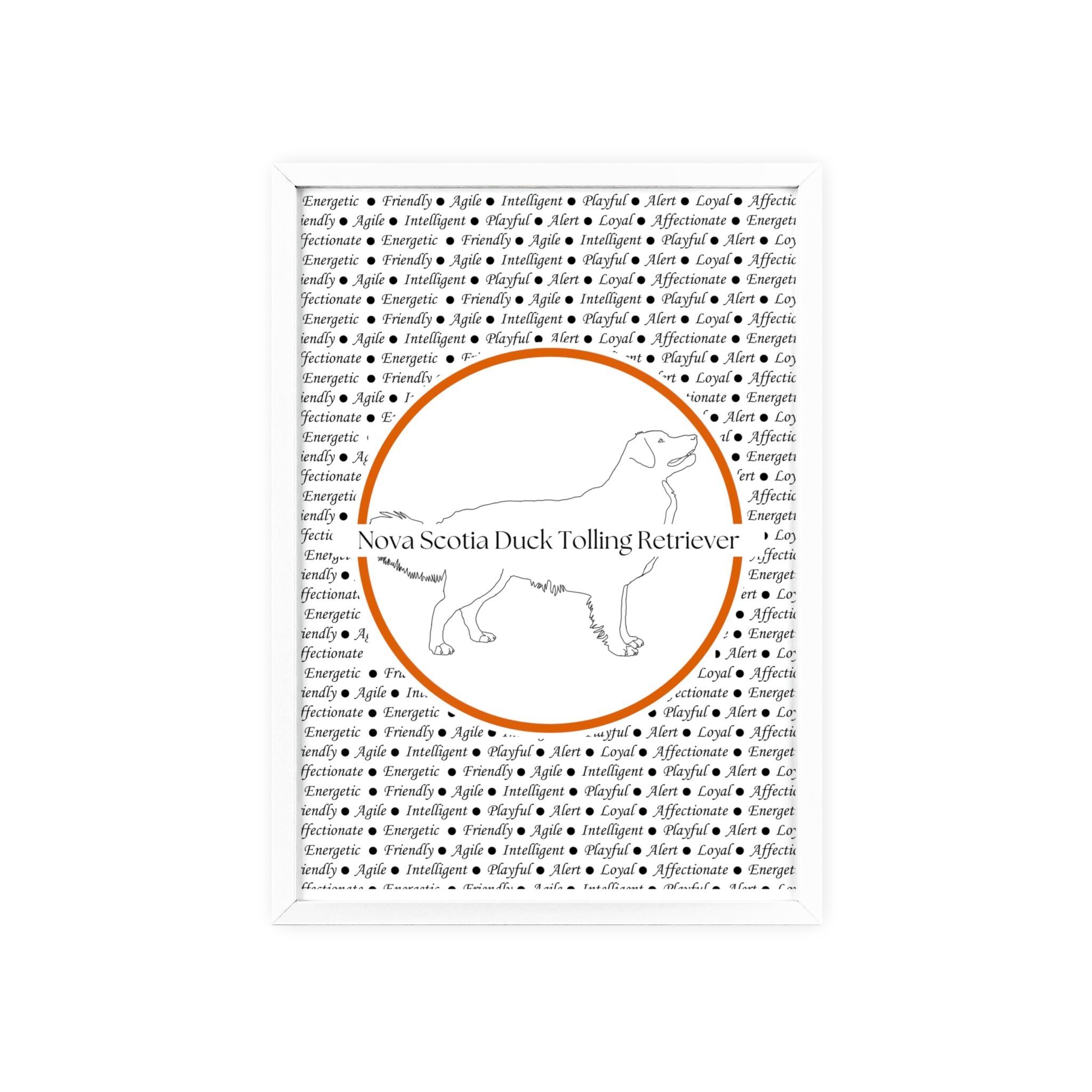 Poster i träram (tavla) med Nova Scotia Duck Tolling Retriever-motiv