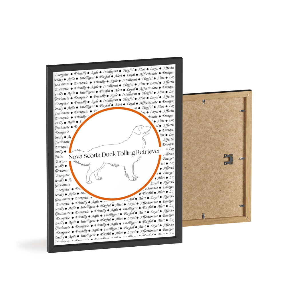 Poster i träram (tavla) med Nova Scotia Duck Tolling Retriever-motiv