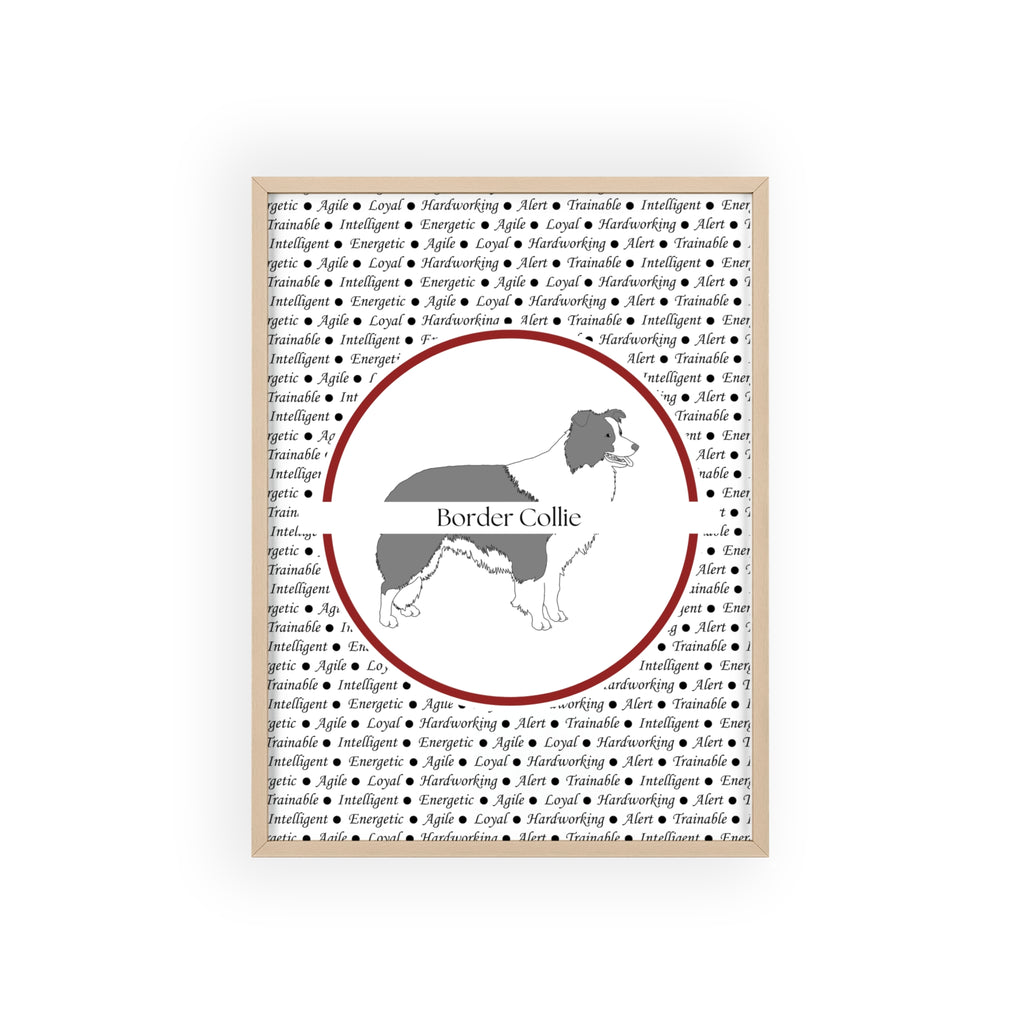 Poster i träram (tavla) med Border Collie-motiv
