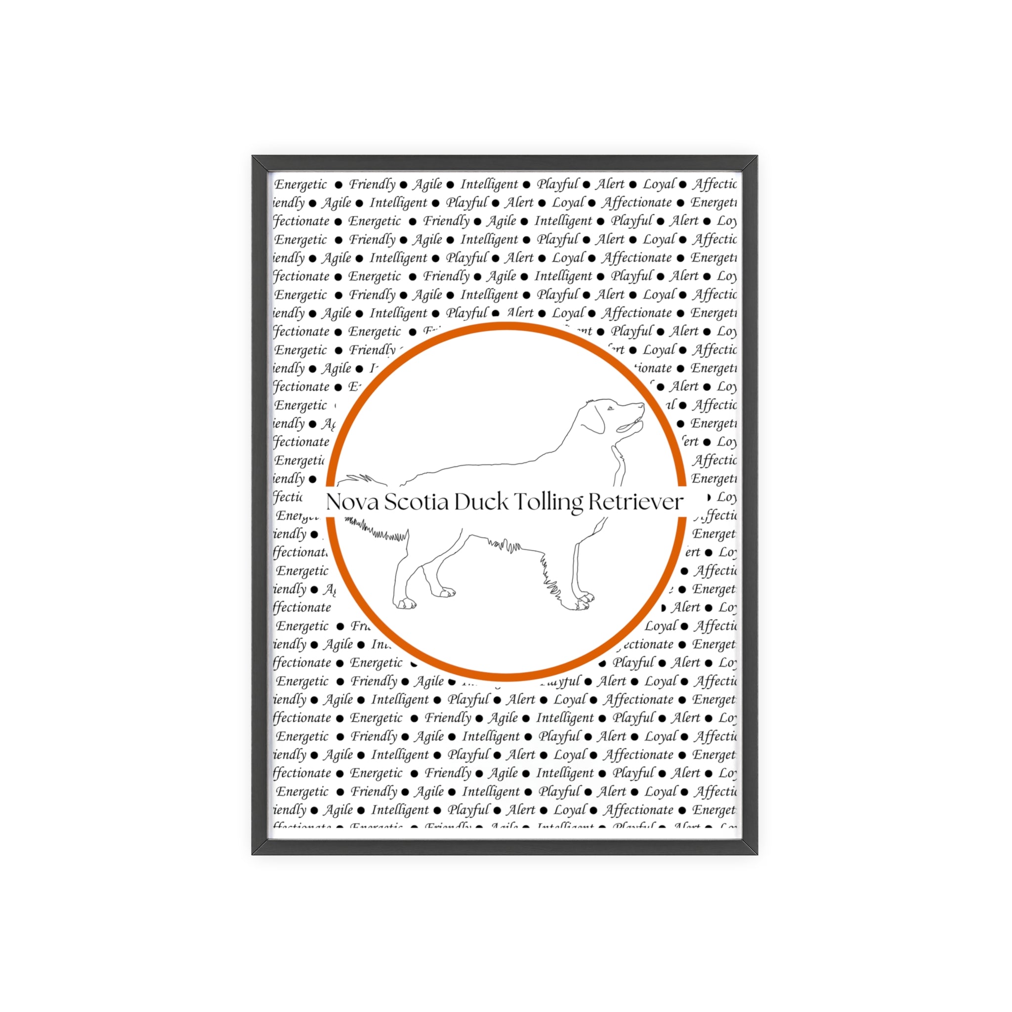 Poster i träram (tavla) med Nova Scotia Duck Tolling Retriever-motiv