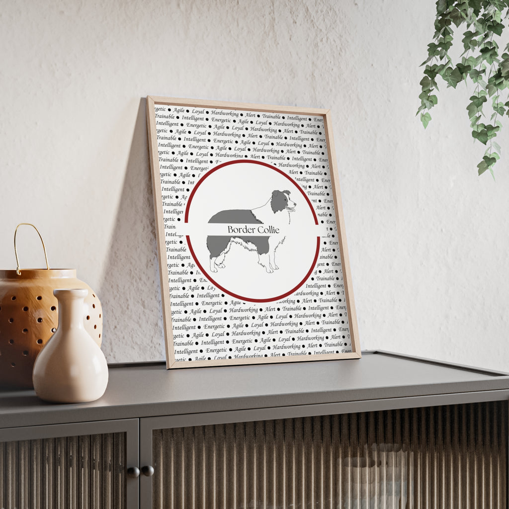 Poster i träram (tavla) med Border Collie-motiv