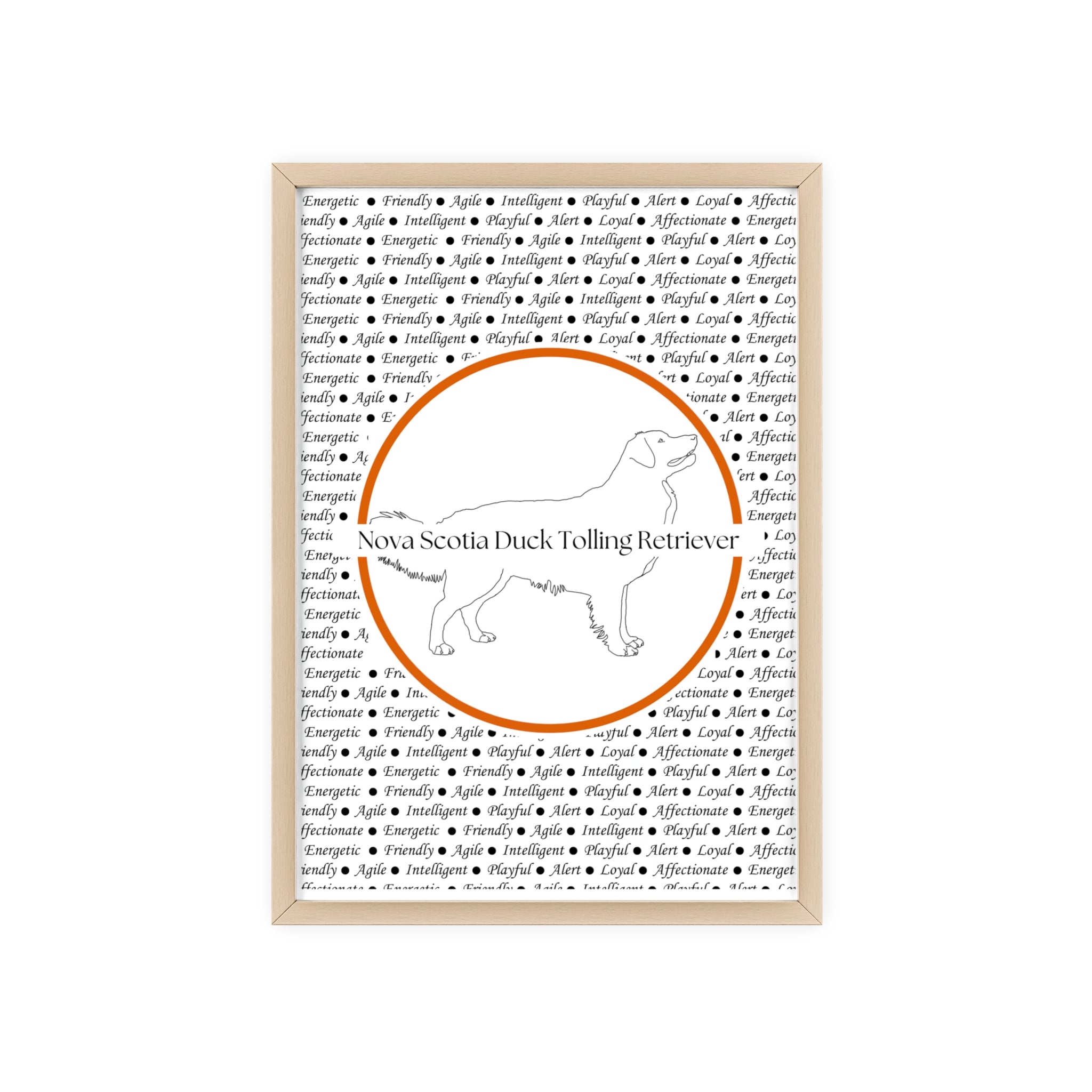 Poster i träram (tavla) med Nova Scotia Duck Tolling Retriever-motiv