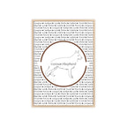 Poster i träram (tavla) med Tysk Schäfer (German Shepherd)-motiv