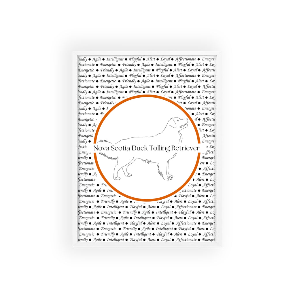 Poster i träram (tavla) med Nova Scotia Duck Tolling Retriever-motiv