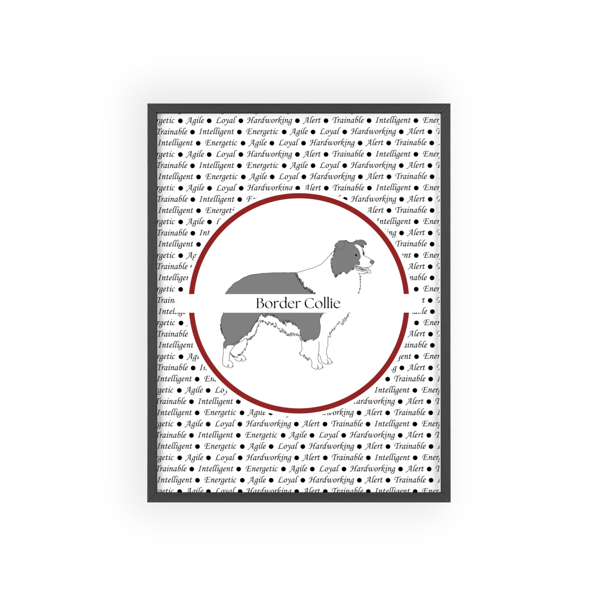 Poster i träram (tavla) med Border Collie-motiv