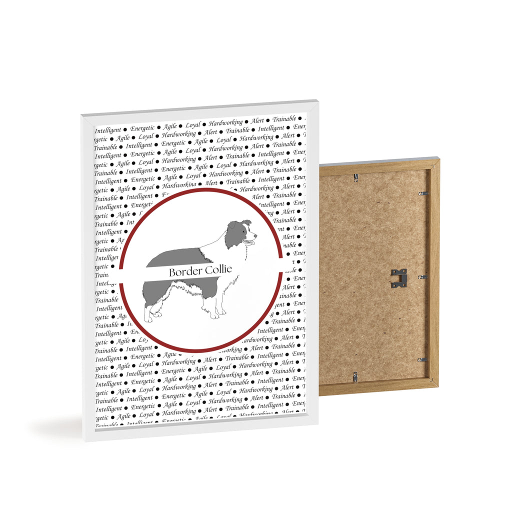 Poster i träram (tavla) med Border Collie-motiv