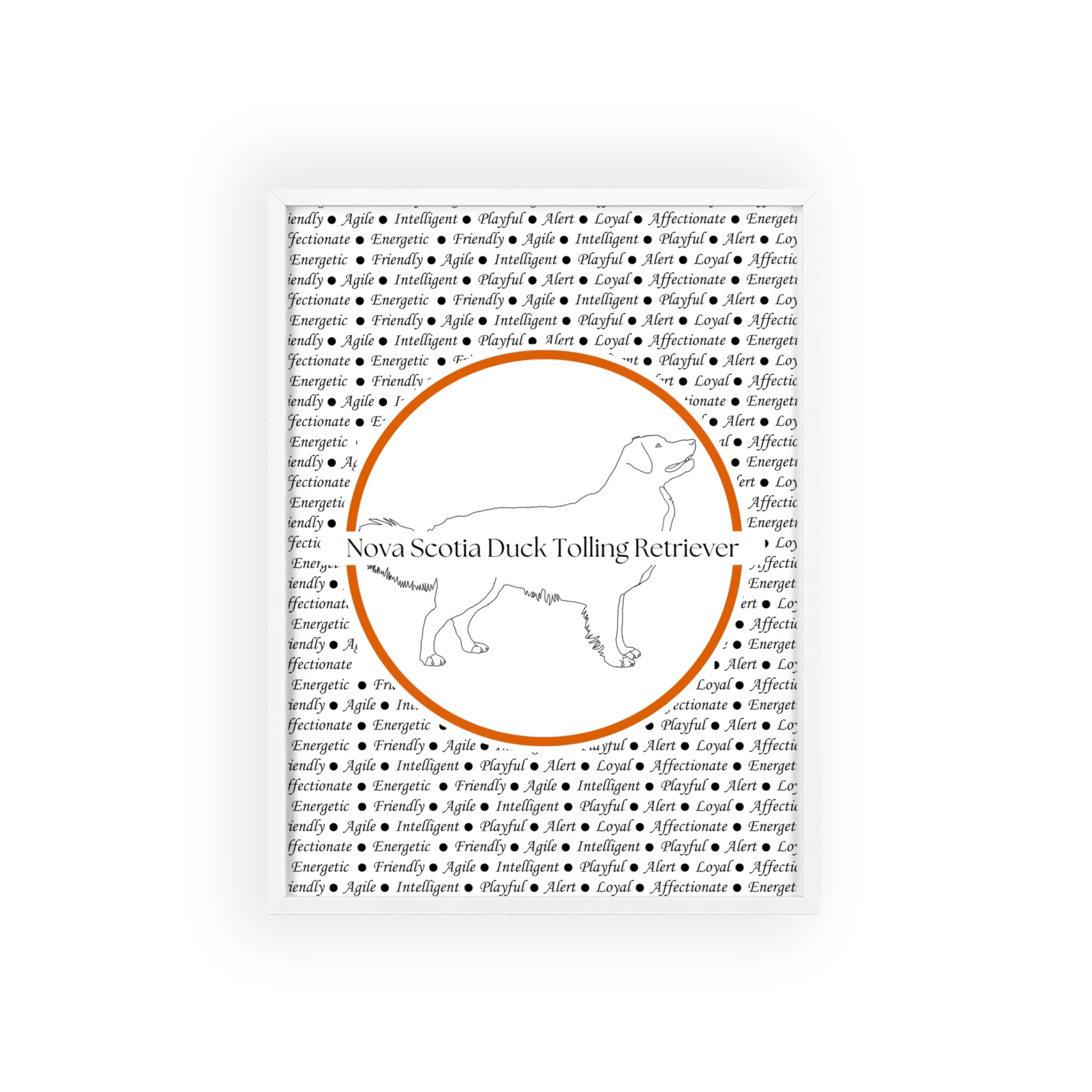 Poster i träram (tavla) med Nova Scotia Duck Tolling Retriever-motiv