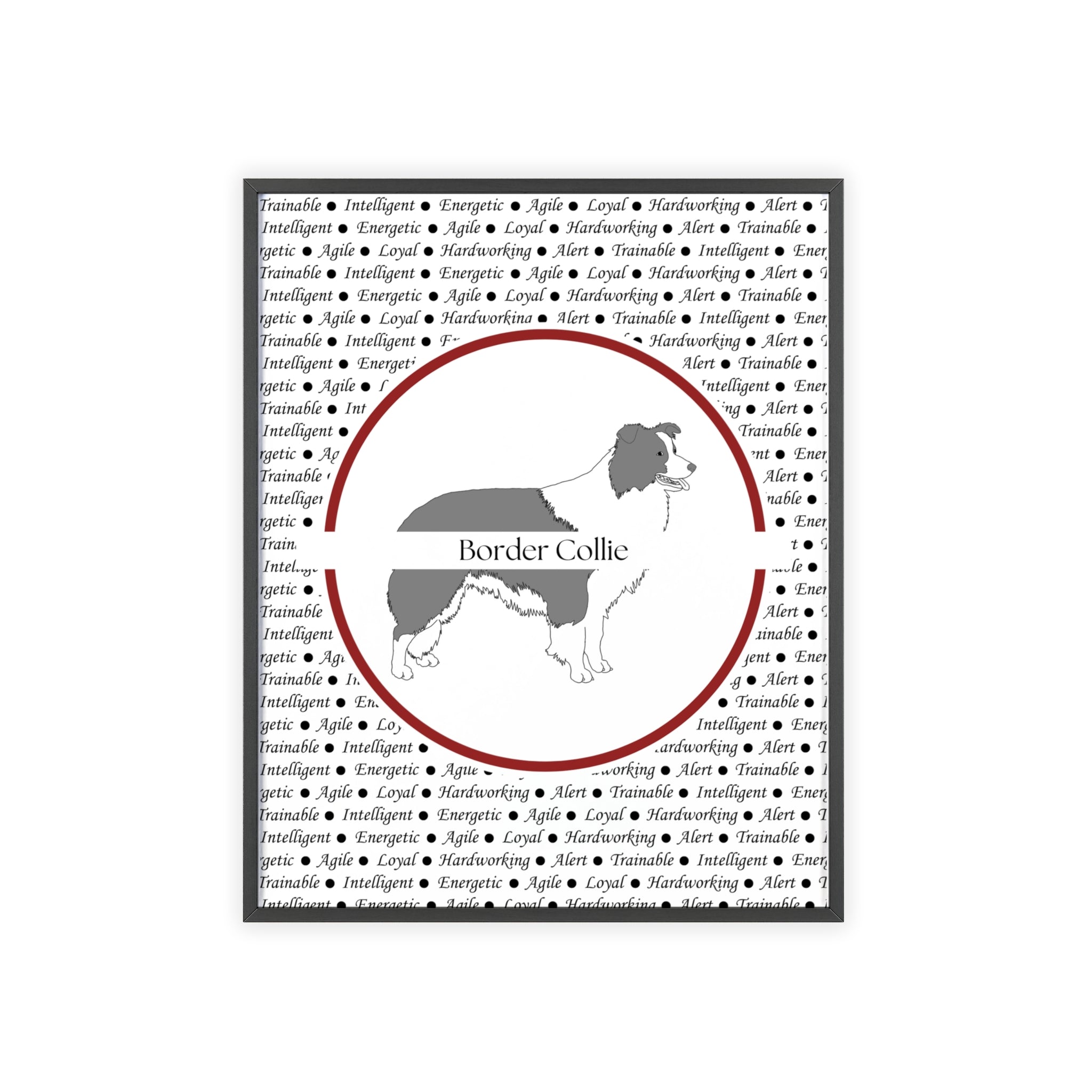 Poster i träram (tavla) med Border Collie-motiv