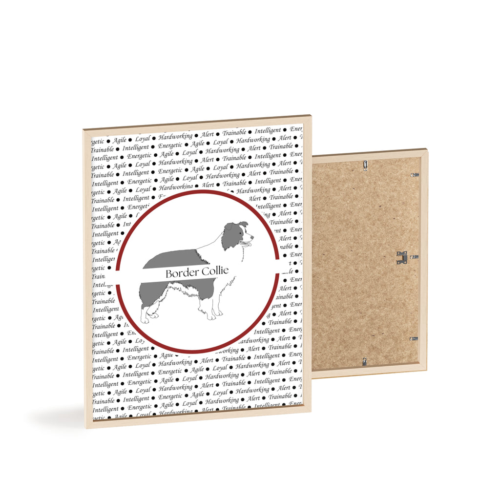 Poster i träram (tavla) med Border Collie-motiv