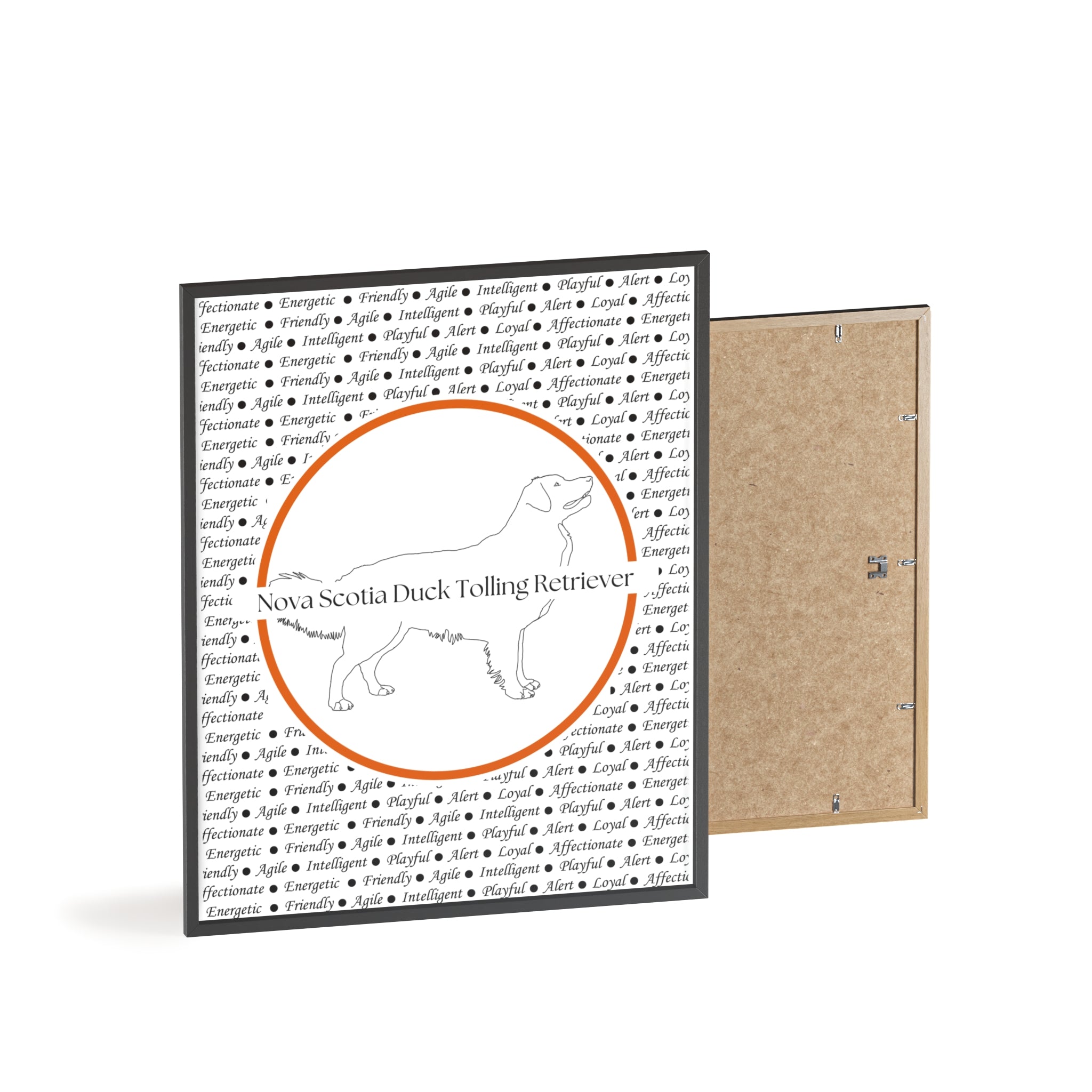 Poster i träram (tavla) med Nova Scotia Duck Tolling Retriever-motiv