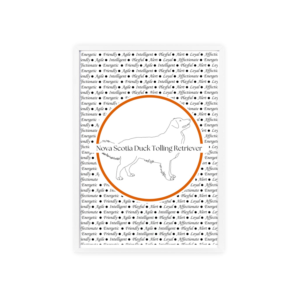 Poster i träram (tavla) med Nova Scotia Duck Tolling Retriever-motiv