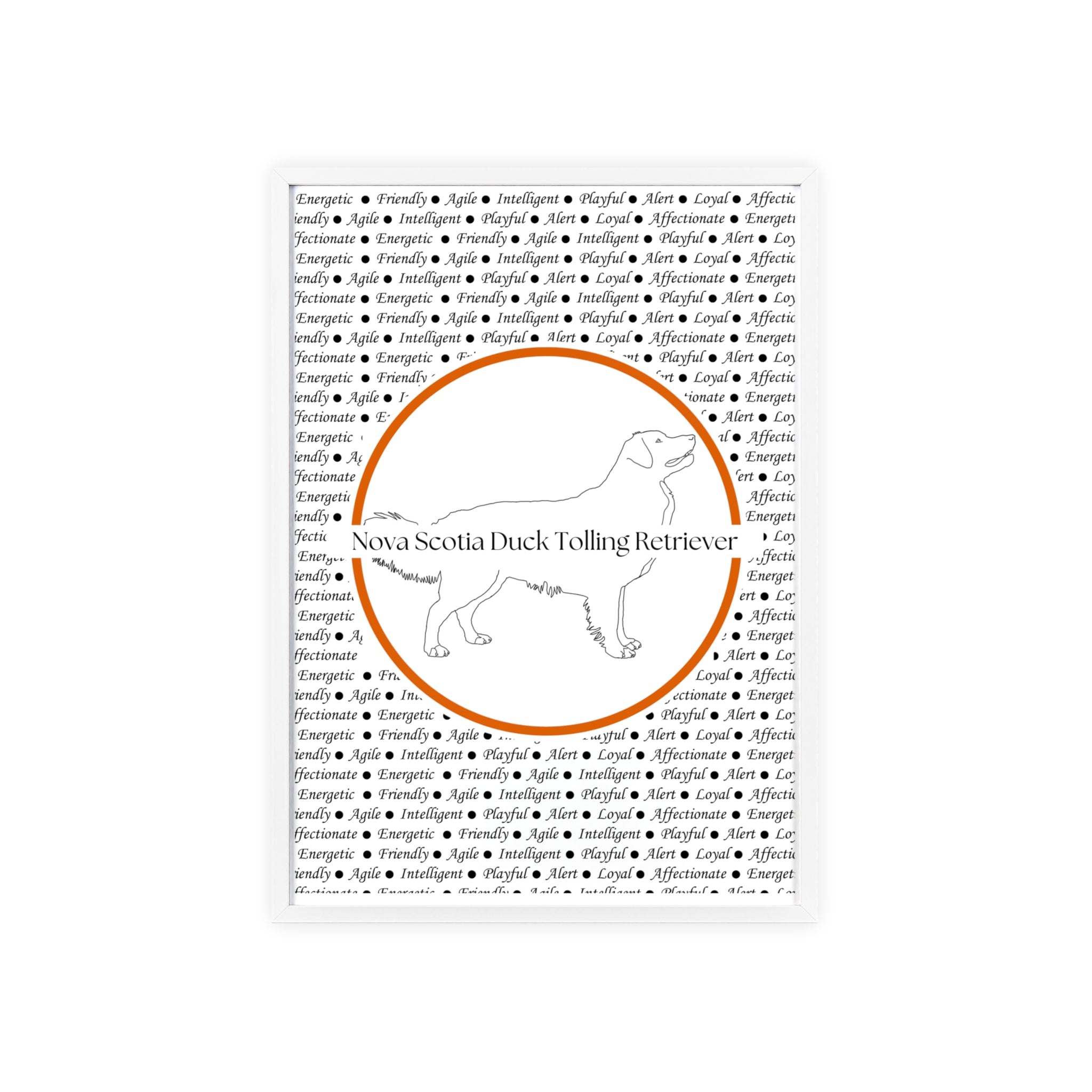 Poster i träram (tavla) med Nova Scotia Duck Tolling Retriever-motiv