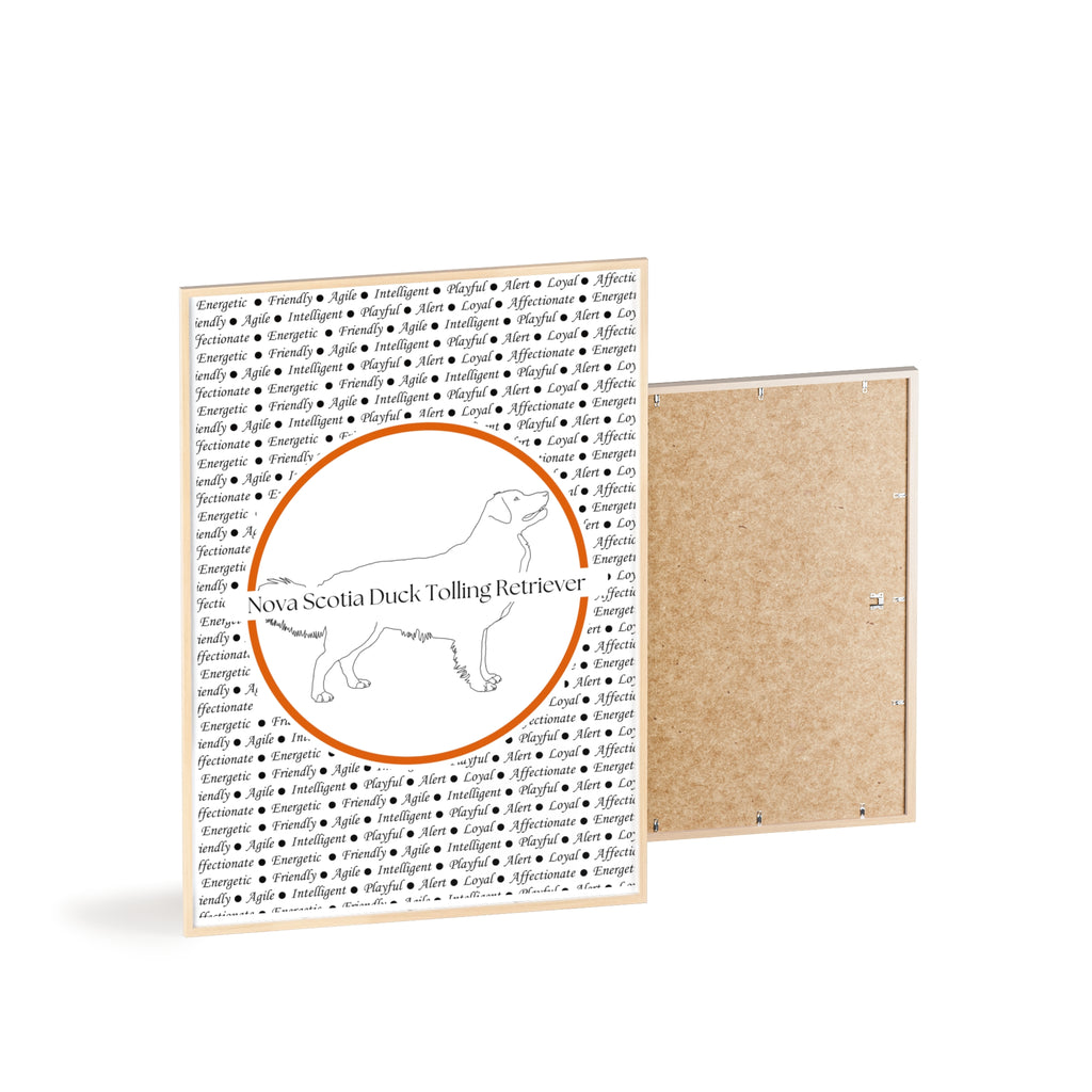 Poster i träram (tavla) med Nova Scotia Duck Tolling Retriever-motiv