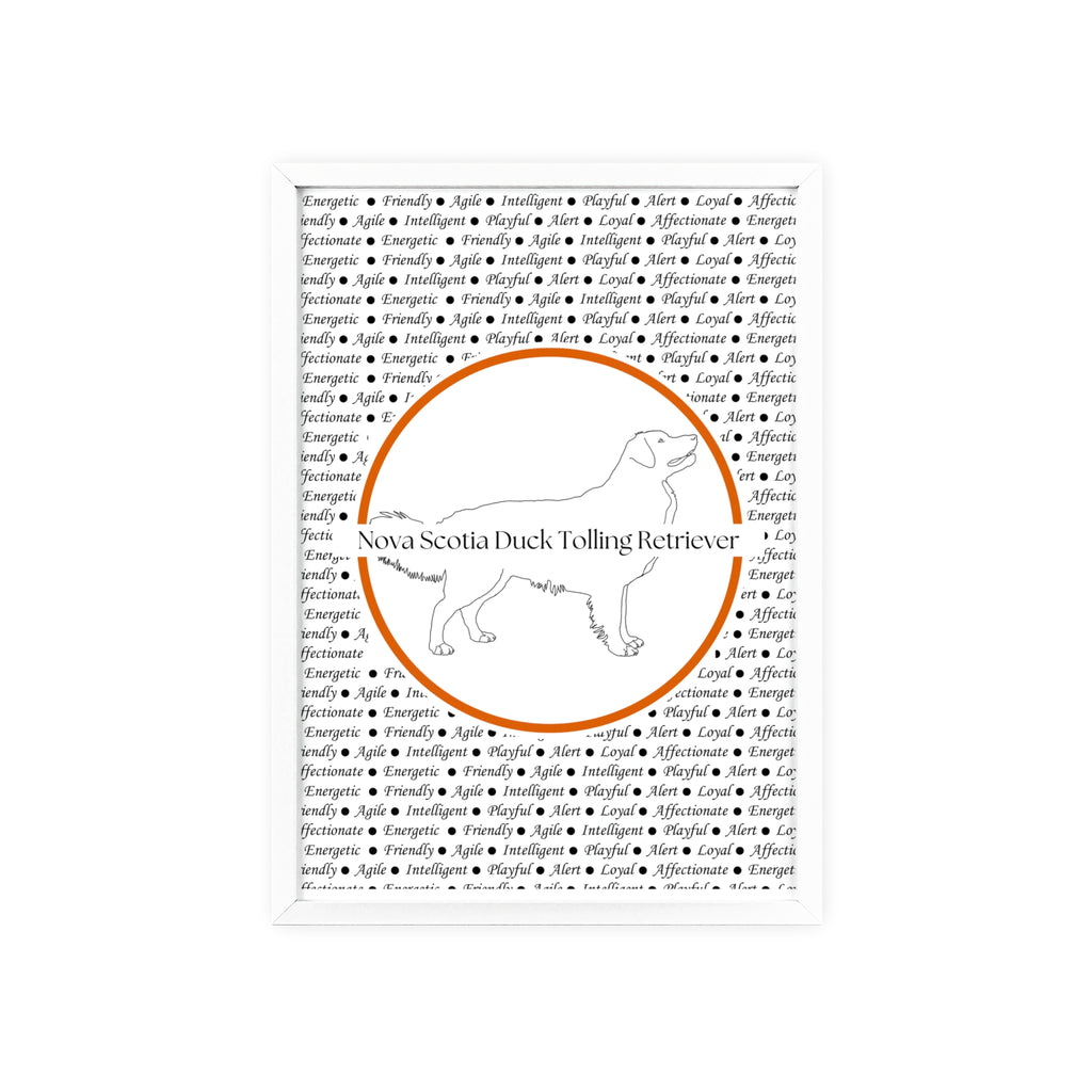 Poster i träram (tavla) med Nova Scotia Duck Tolling Retriever-motiv