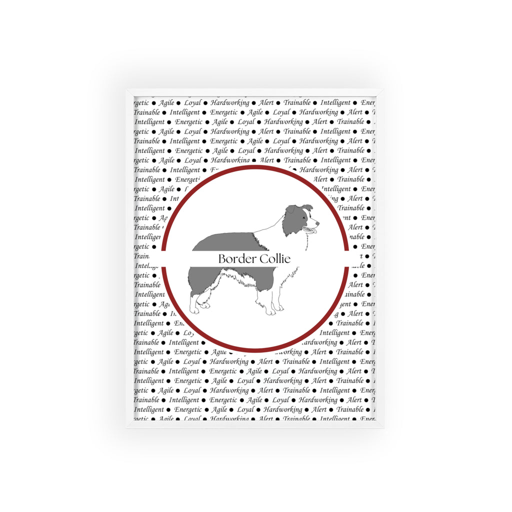 Poster i träram (tavla) med Border Collie-motiv
