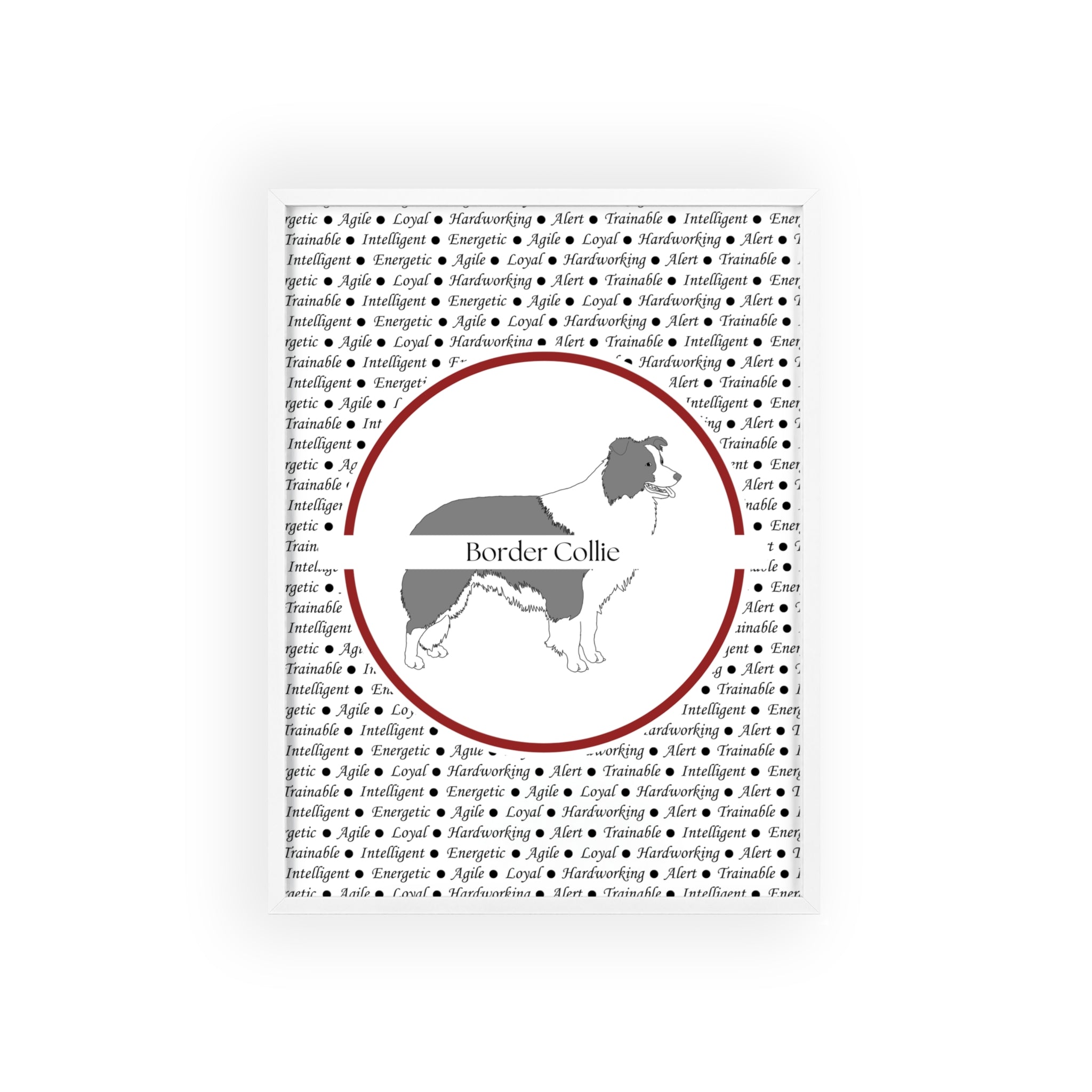 Poster i träram (tavla) med Border Collie-motiv