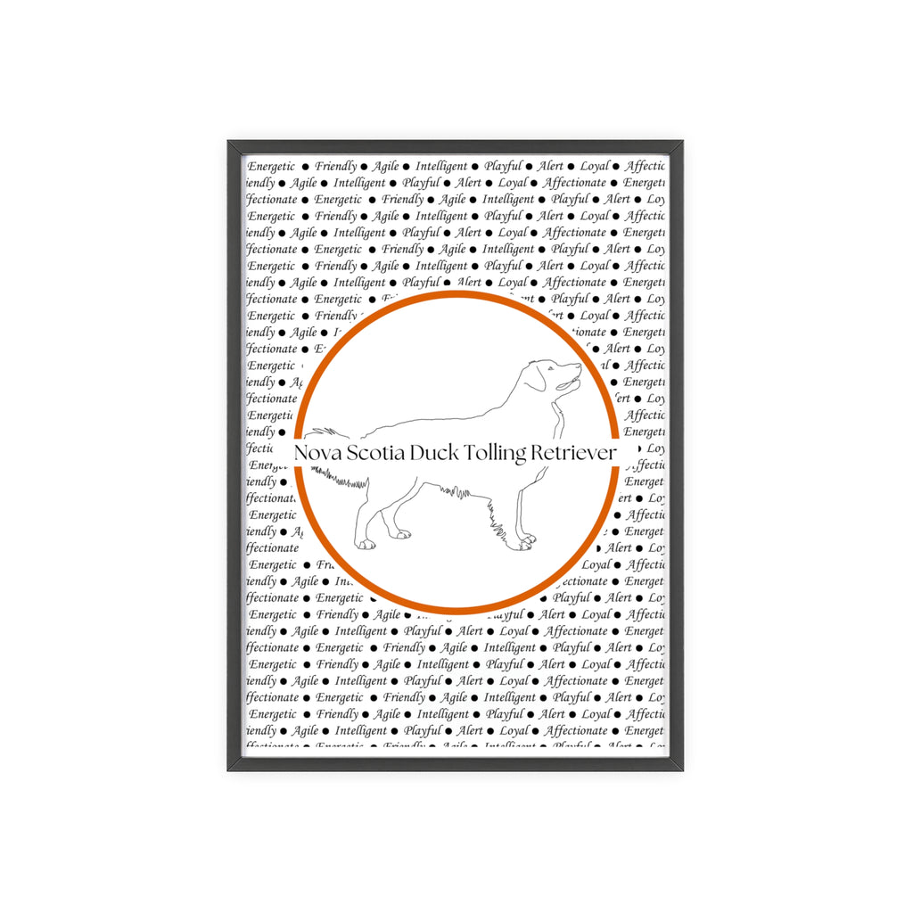 Poster i träram (tavla) med Nova Scotia Duck Tolling Retriever-motiv
