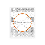 Poster i träram (tavla) med Nova Scotia Duck Tolling Retriever-motiv