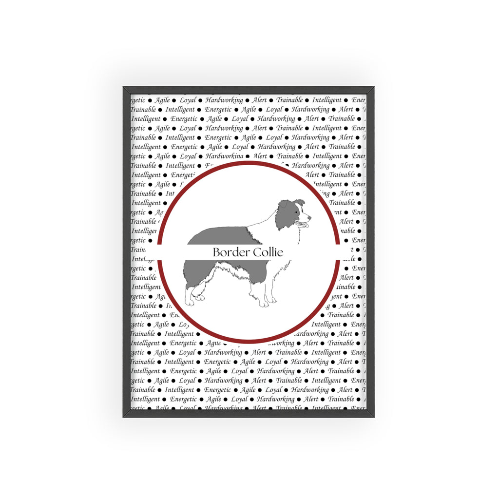 Poster i träram (tavla) med Border Collie-motiv