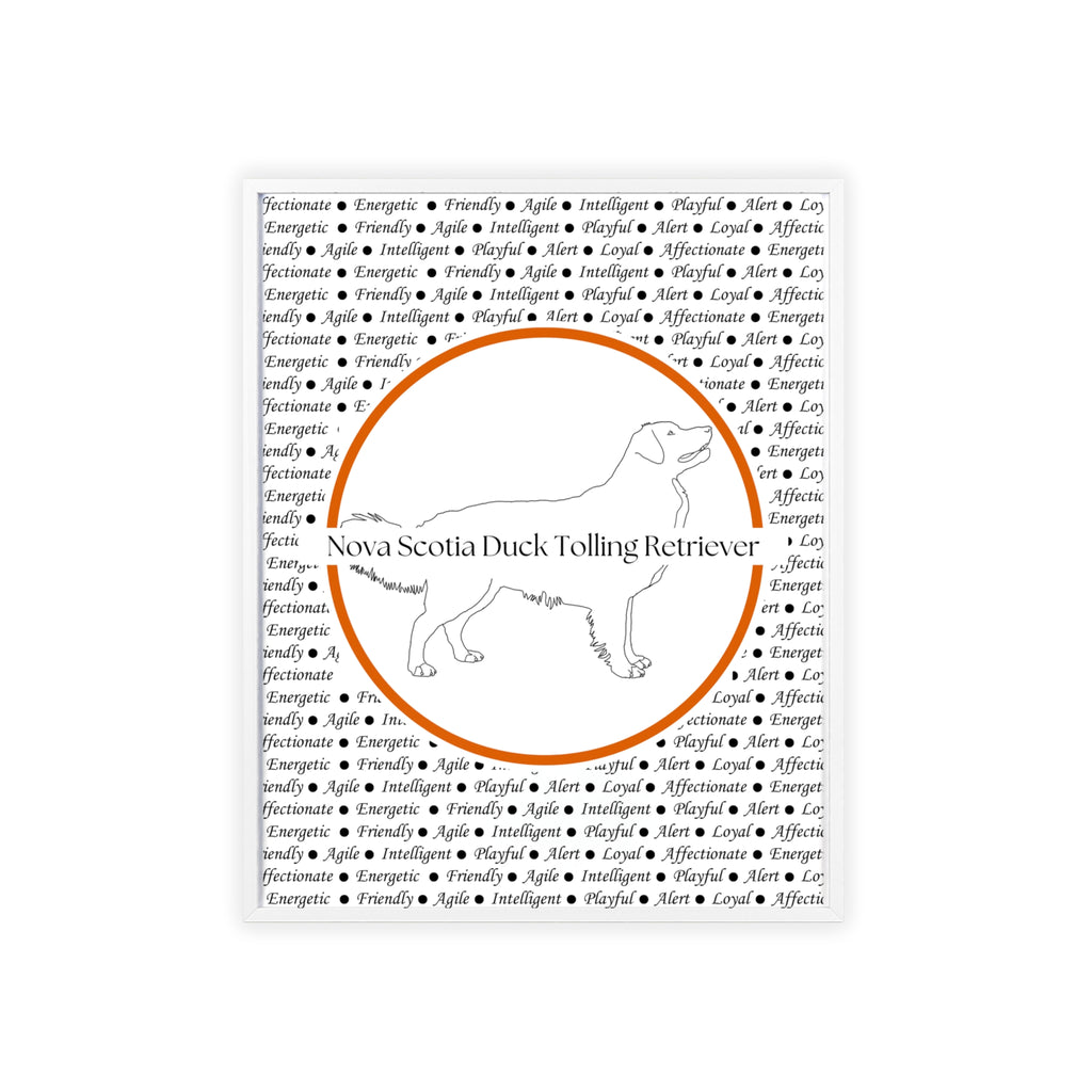 Poster i träram (tavla) med Nova Scotia Duck Tolling Retriever-motiv