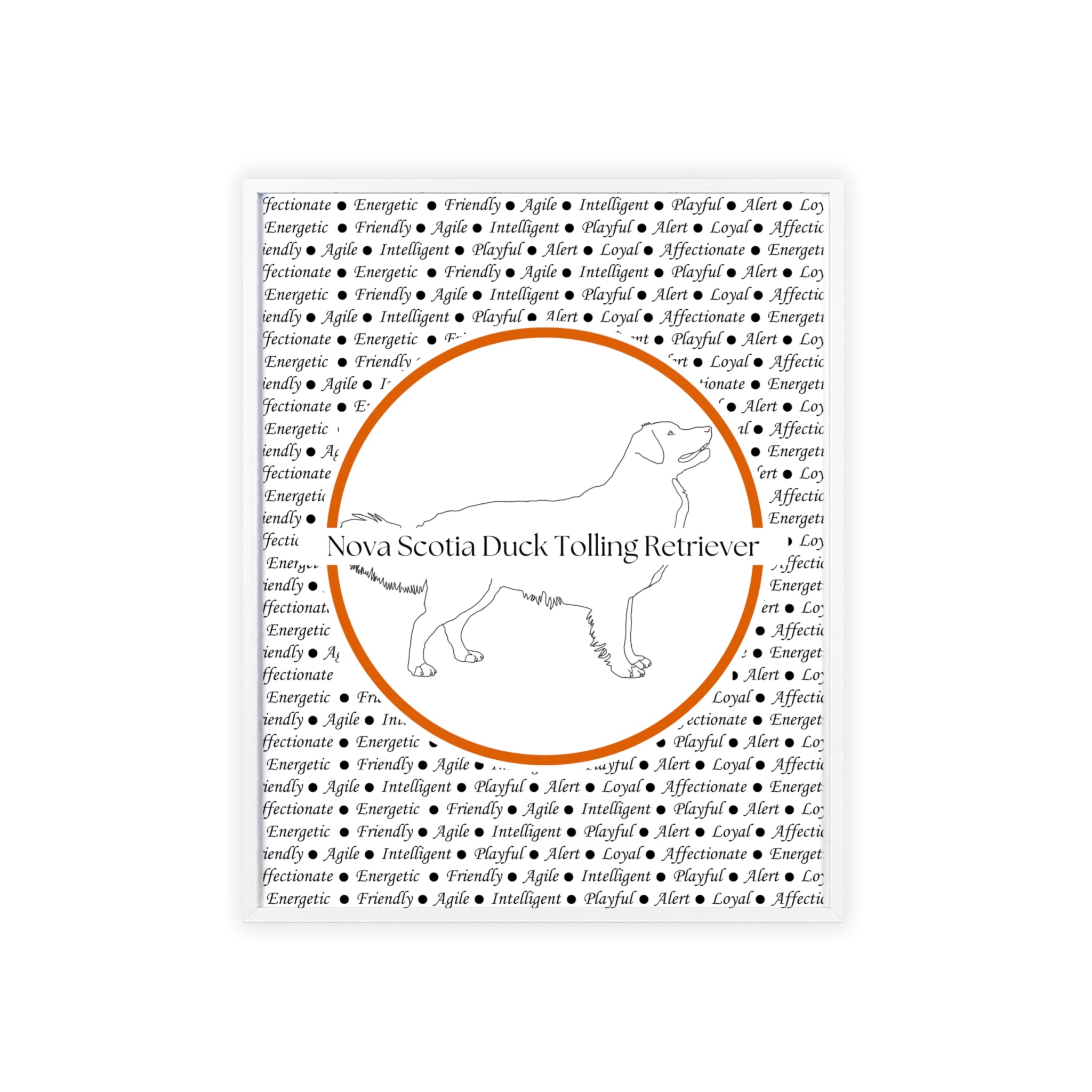 Poster i träram (tavla) med Nova Scotia Duck Tolling Retriever-motiv