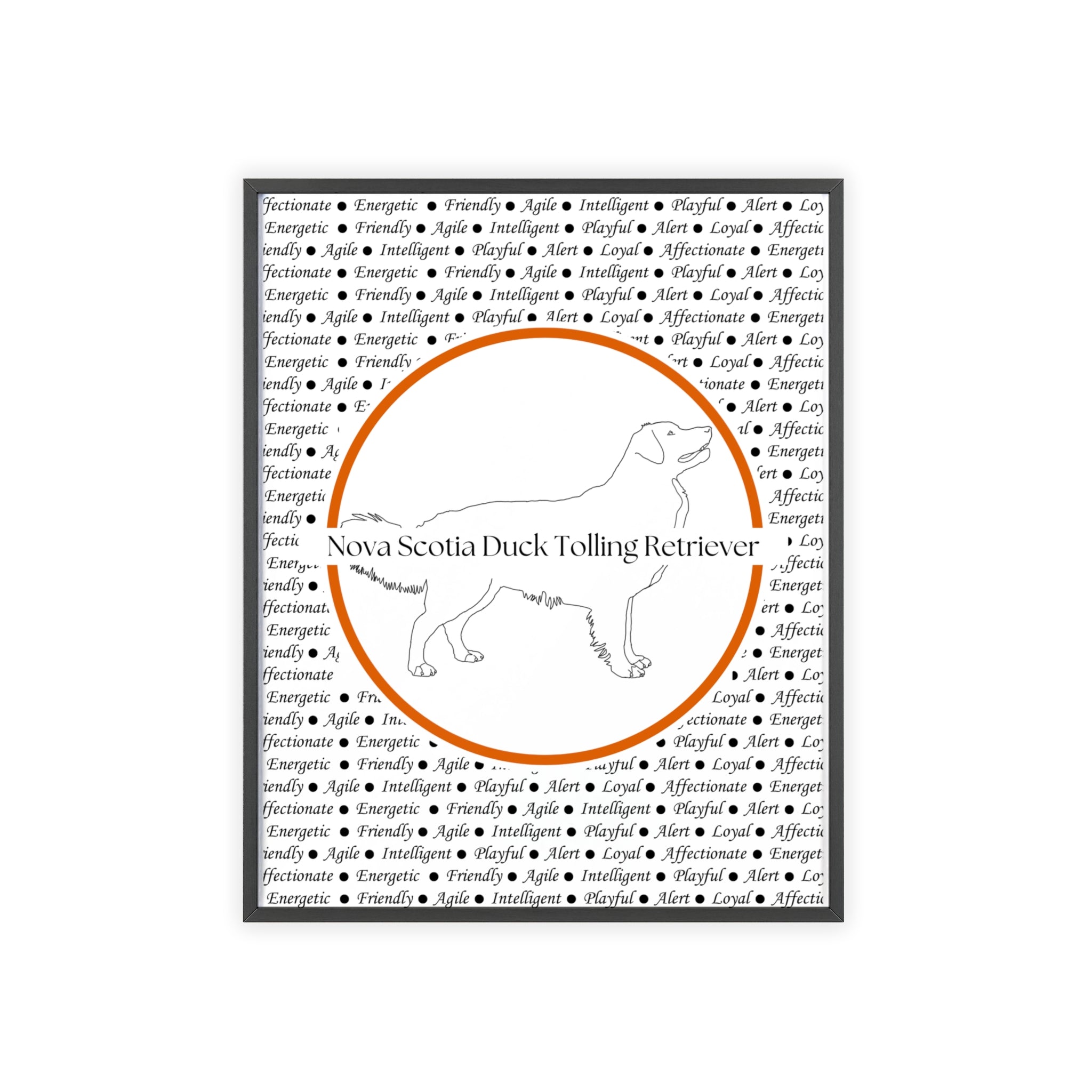 Poster i träram (tavla) med Nova Scotia Duck Tolling Retriever-motiv