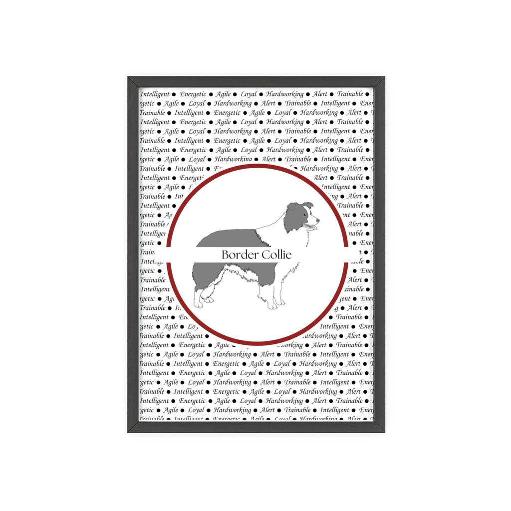 Poster i träram (tavla) med Border Collie-motiv