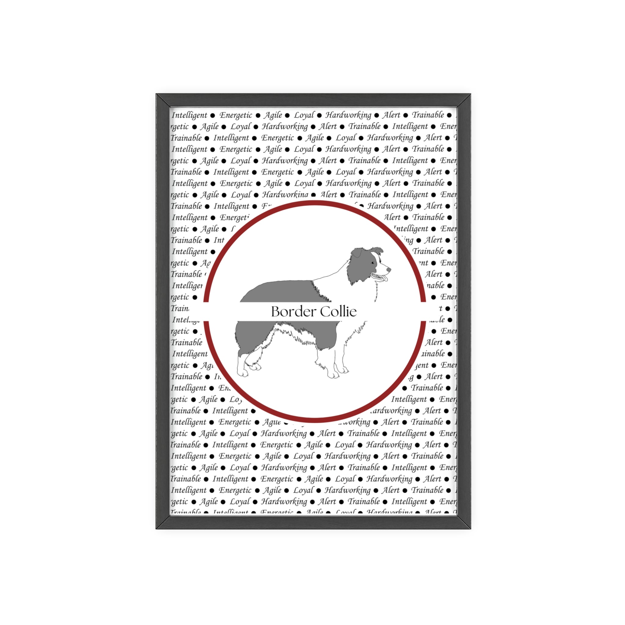 Poster i träram (tavla) med Border Collie-motiv