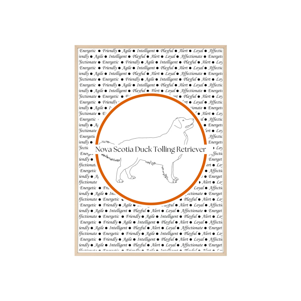 Poster i träram (tavla) med Nova Scotia Duck Tolling Retriever-motiv
