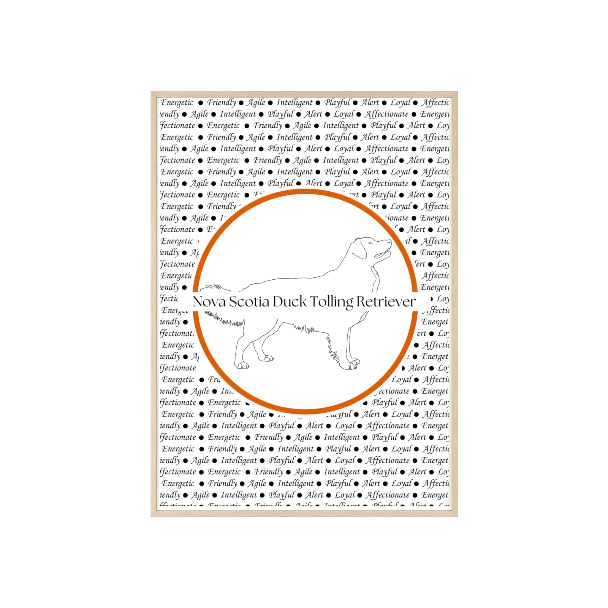 Poster i träram (tavla) med Nova Scotia Duck Tolling Retriever-motiv