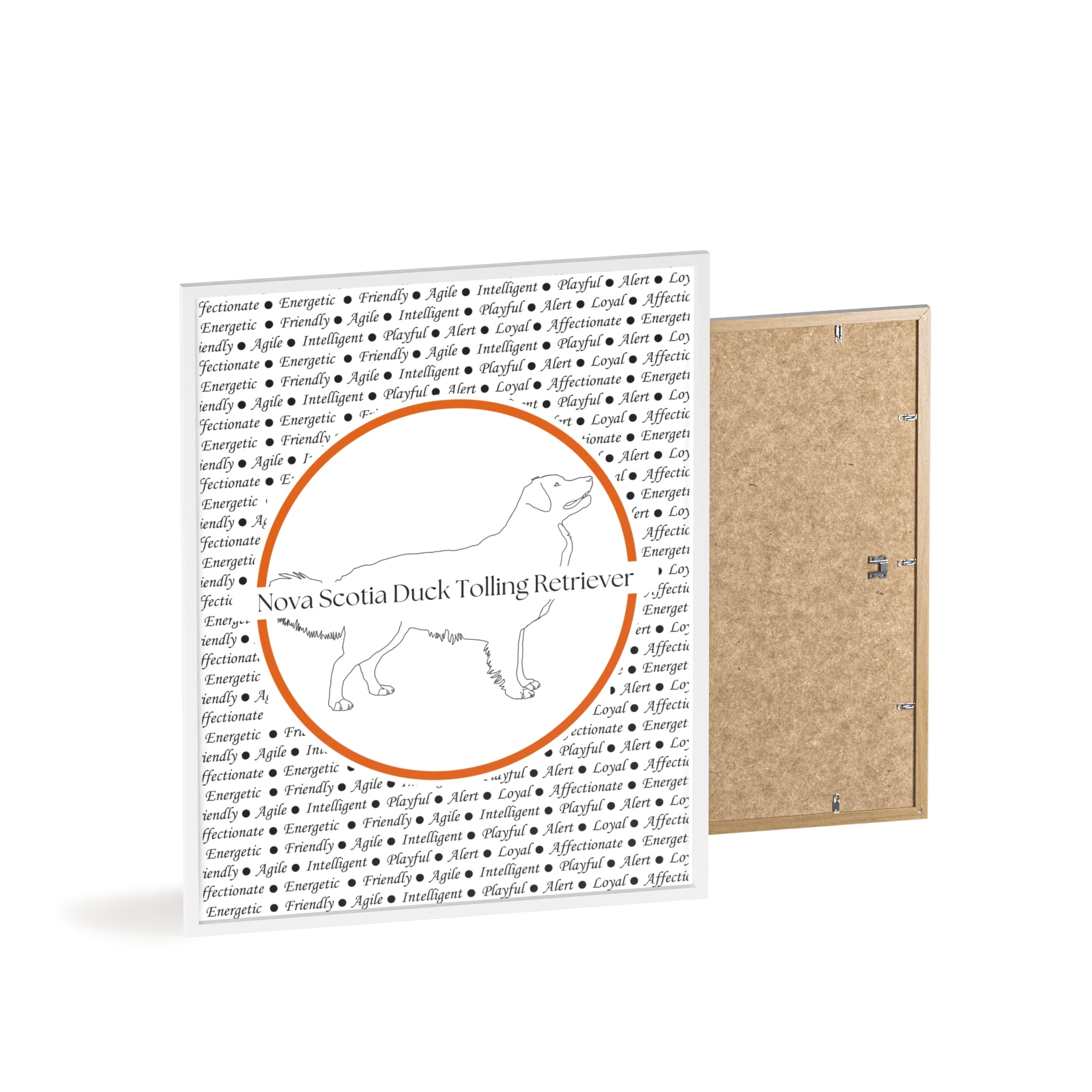 Poster i träram (tavla) med Nova Scotia Duck Tolling Retriever-motiv