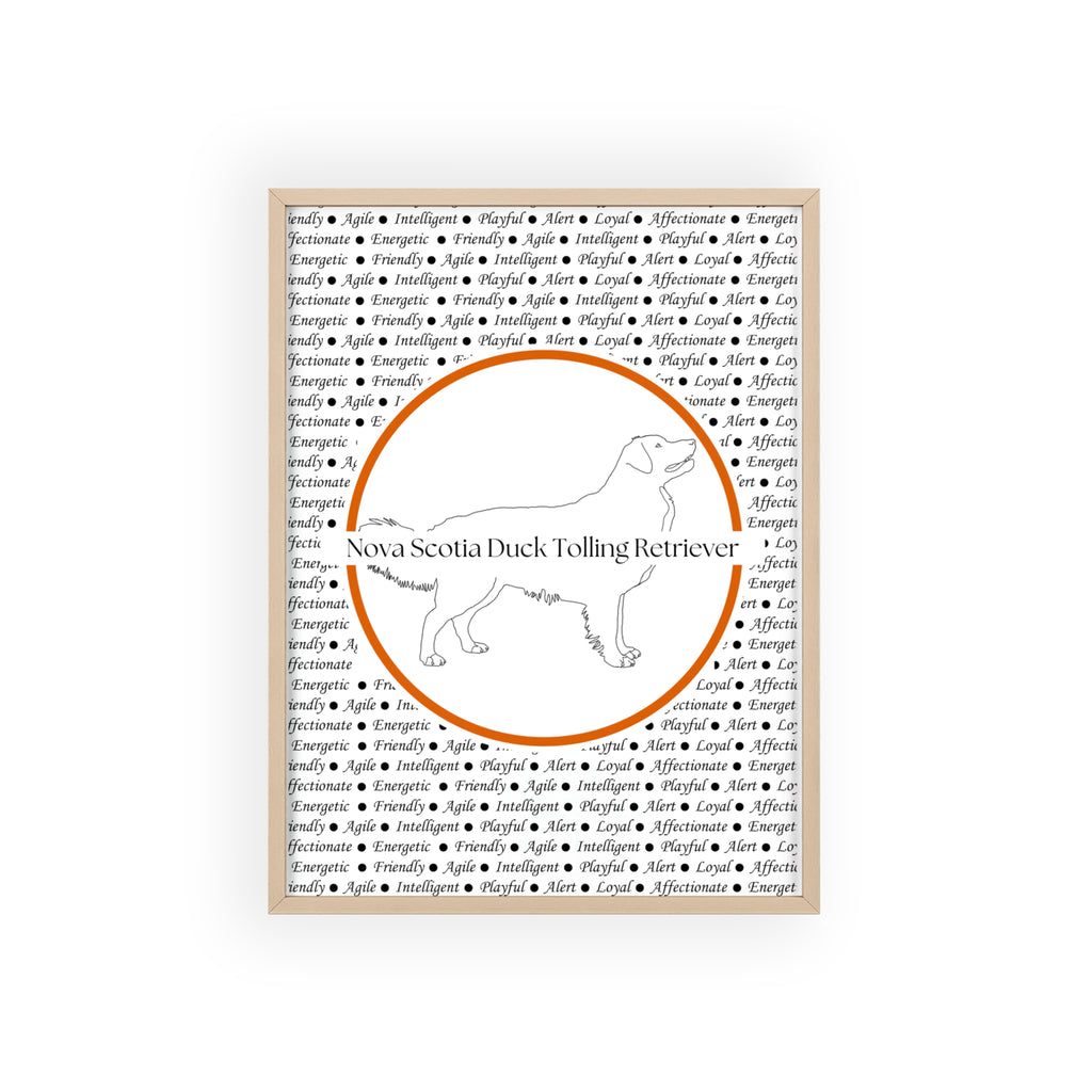 Poster i träram (tavla) med Nova Scotia Duck Tolling Retriever-motiv