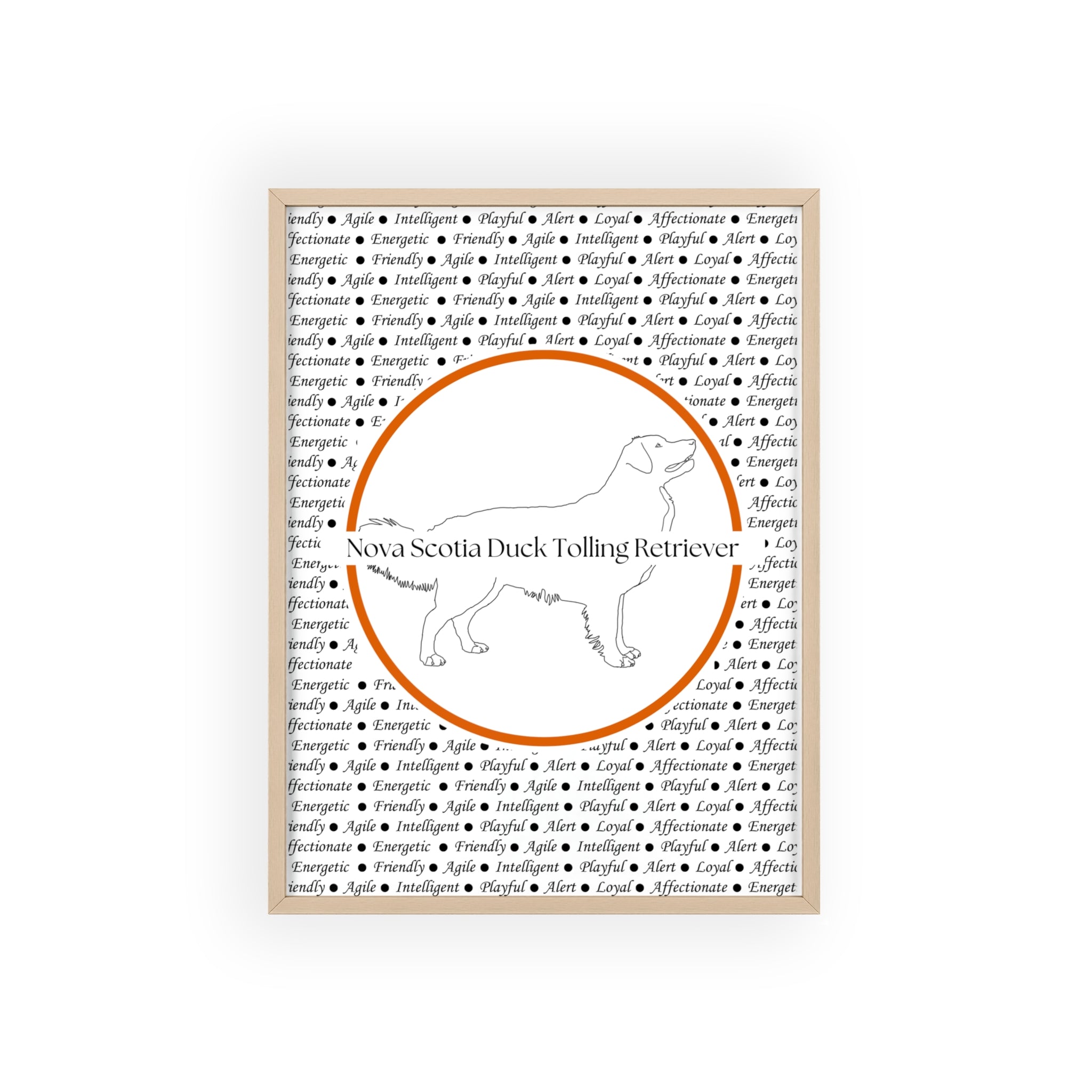 Poster i träram (tavla) med Nova Scotia Duck Tolling Retriever-motiv
