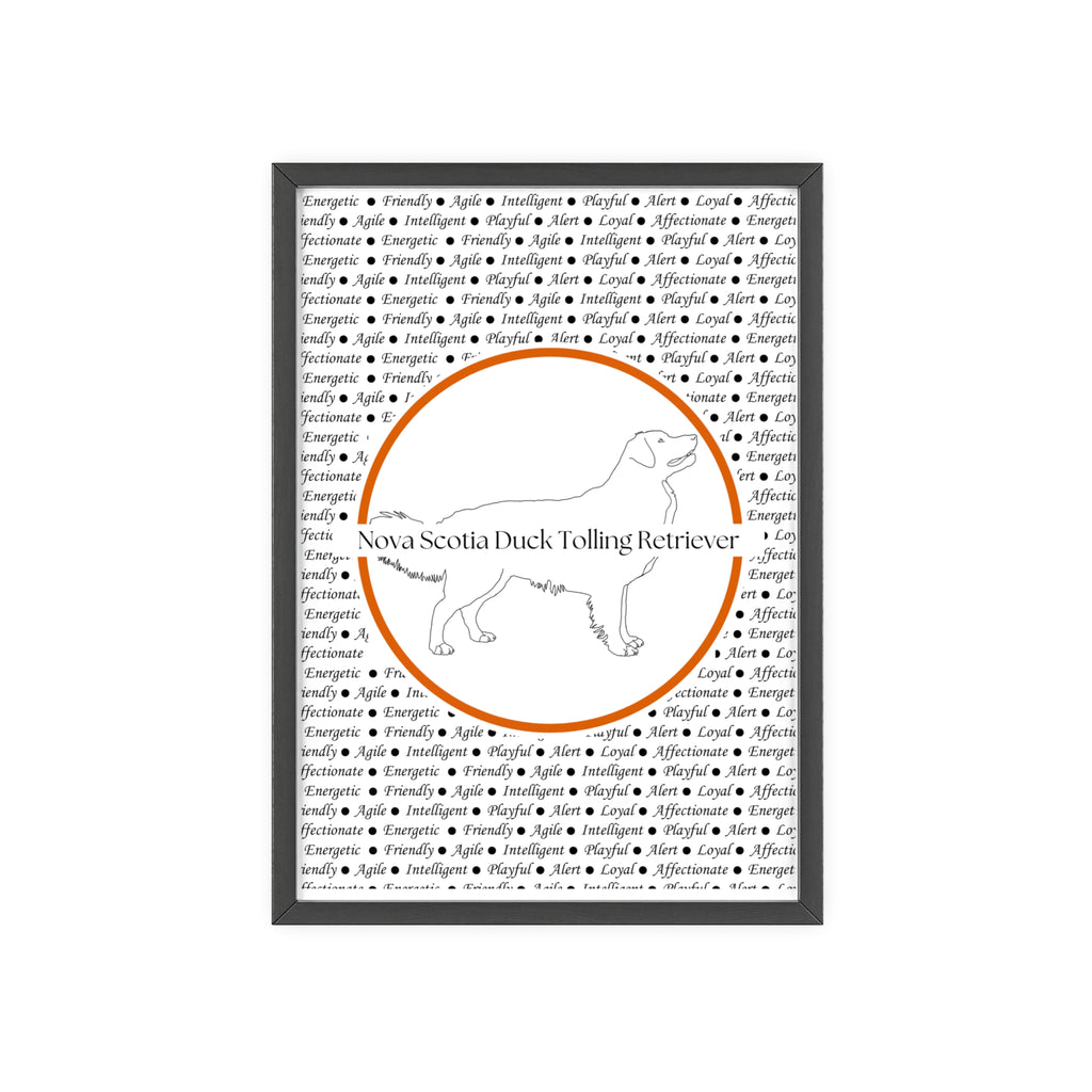 Poster i träram (tavla) med Nova Scotia Duck Tolling Retriever-motiv