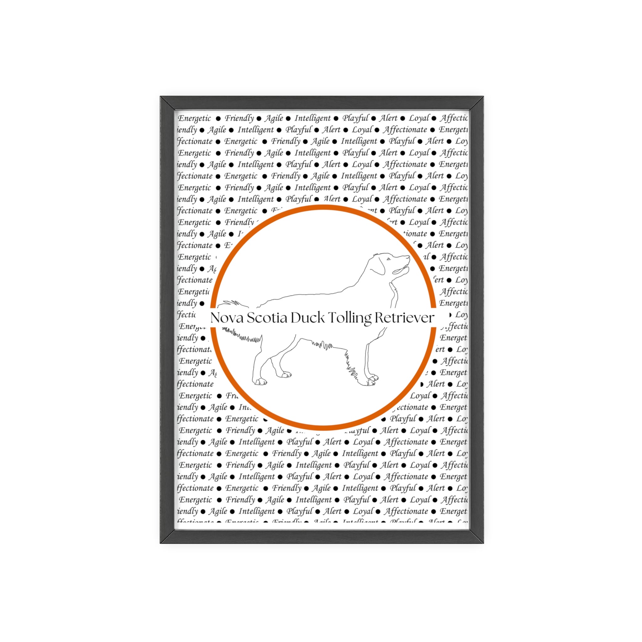 Poster i träram (tavla) med Nova Scotia Duck Tolling Retriever-motiv