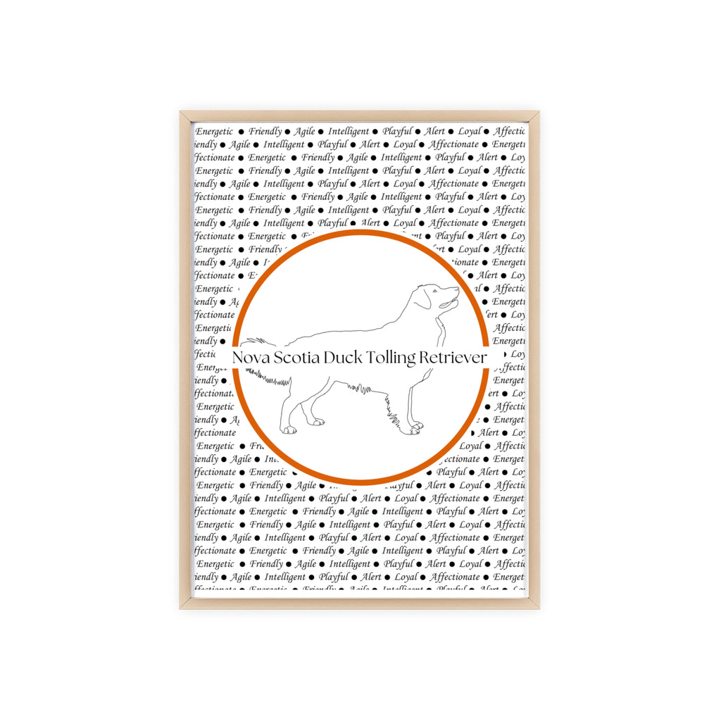 Poster i träram (tavla) med Nova Scotia Duck Tolling Retriever-motiv