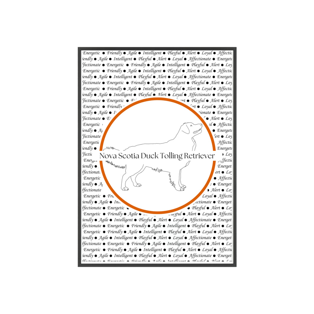 Poster i träram (tavla) med Nova Scotia Duck Tolling Retriever-motiv