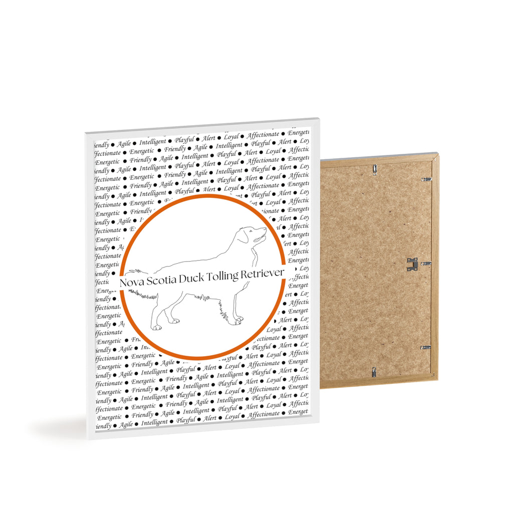 Poster i träram (tavla) med Nova Scotia Duck Tolling Retriever-motiv