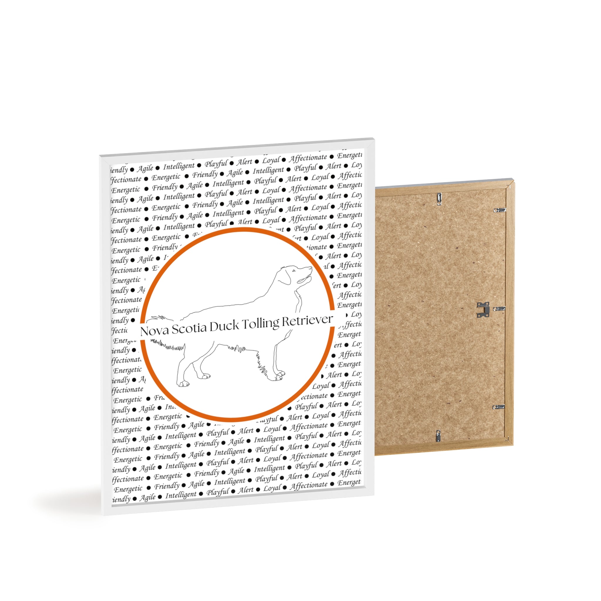 Poster i träram (tavla) med Nova Scotia Duck Tolling Retriever-motiv