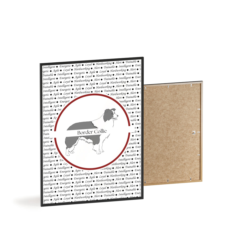 Poster i träram (tavla) med Border Collie-motiv