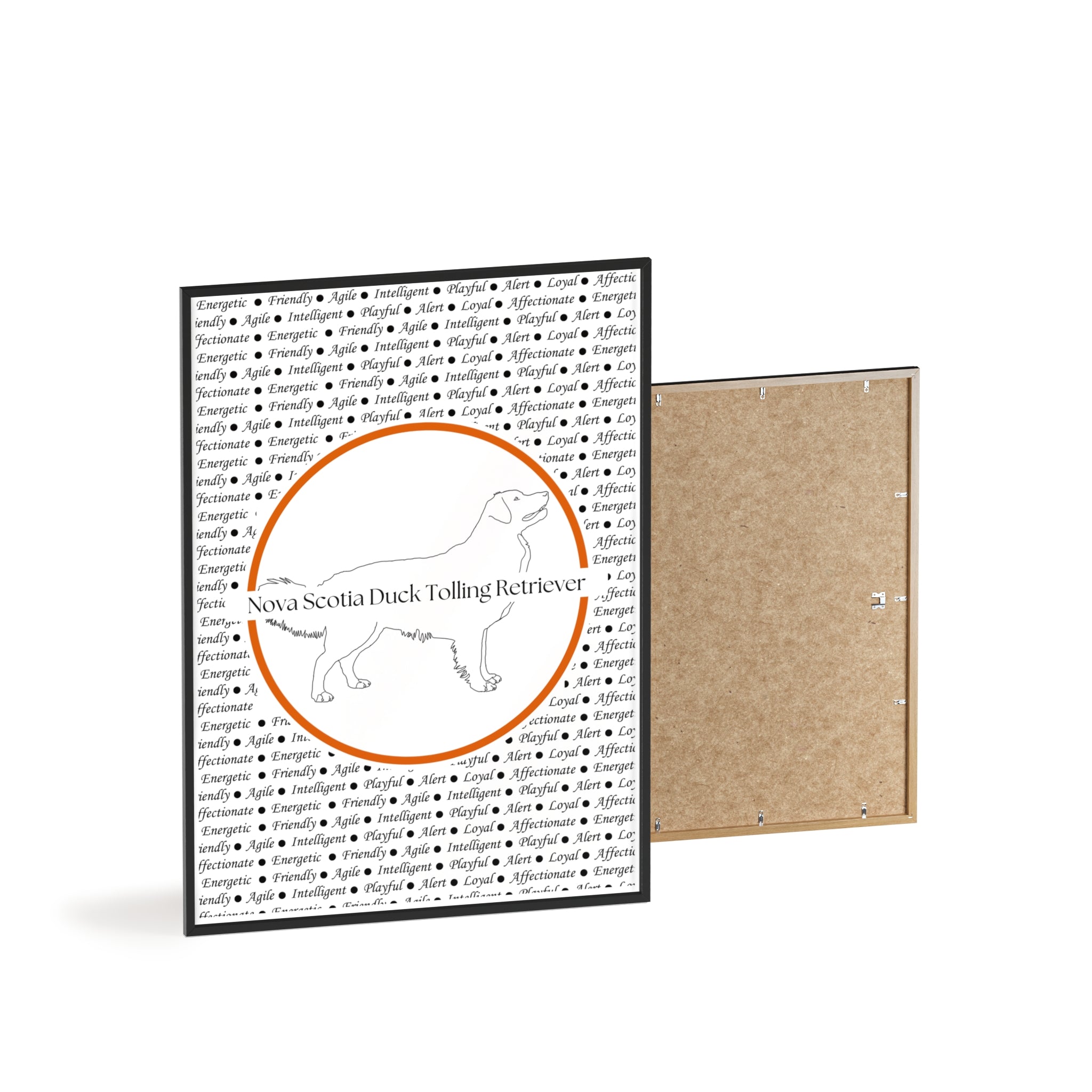 Poster i träram (tavla) med Nova Scotia Duck Tolling Retriever-motiv