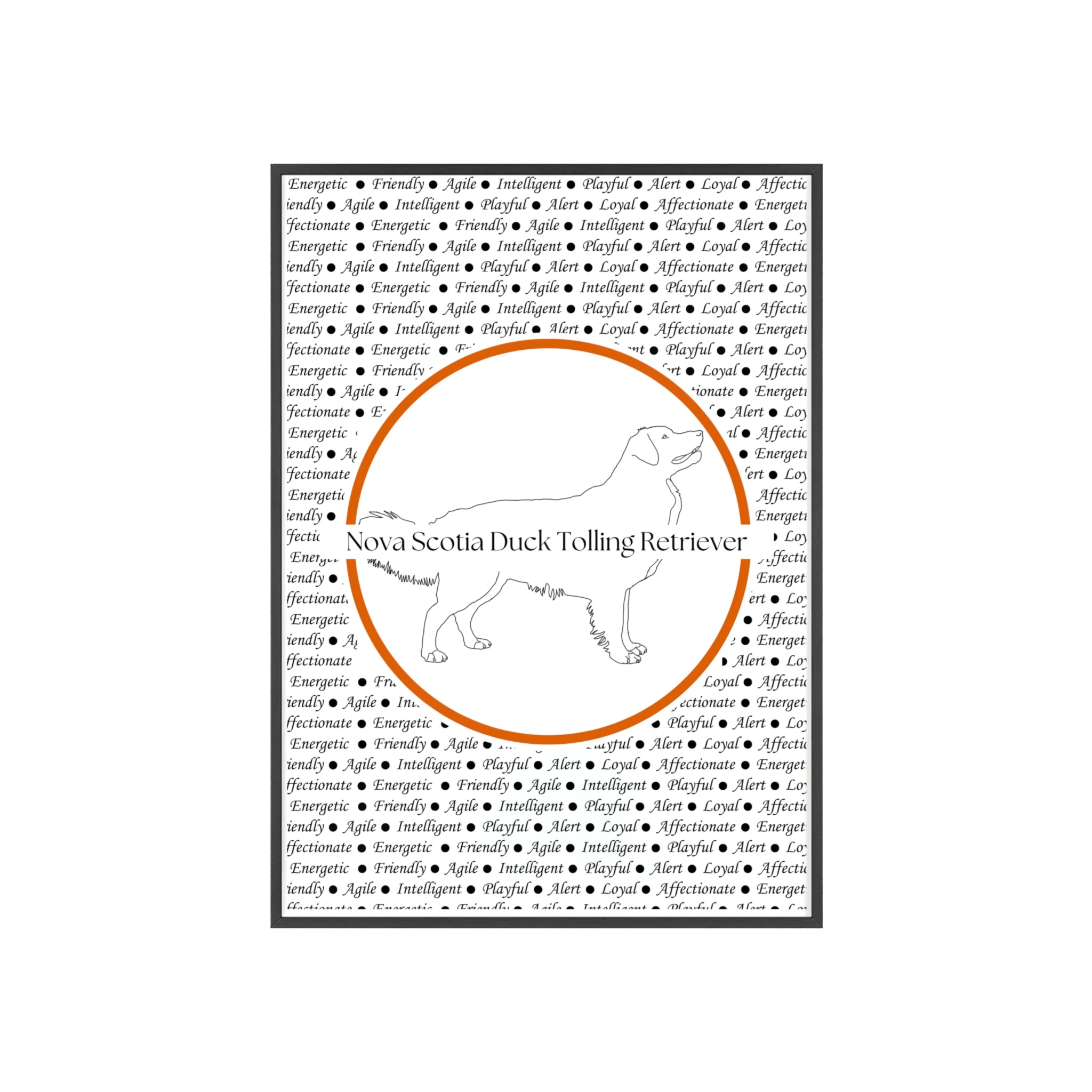 Poster i träram (tavla) med Nova Scotia Duck Tolling Retriever-motiv