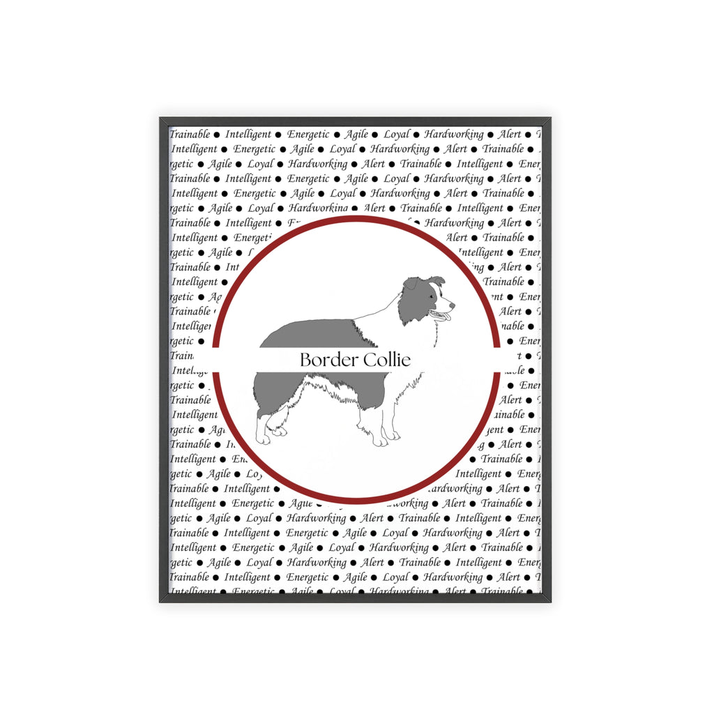 Poster i träram (tavla) med Border Collie-motiv