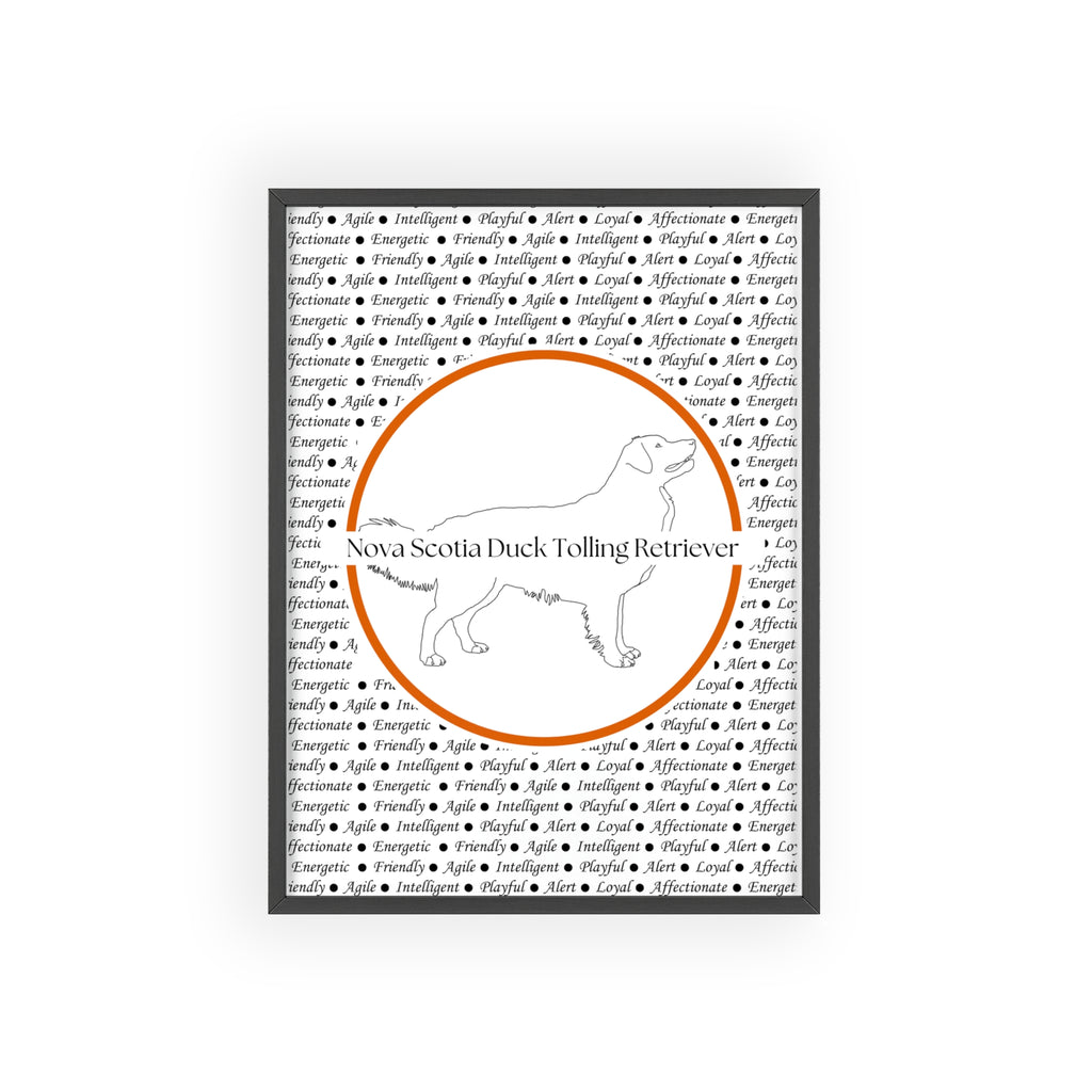 Poster i träram (tavla) med Nova Scotia Duck Tolling Retriever-motiv