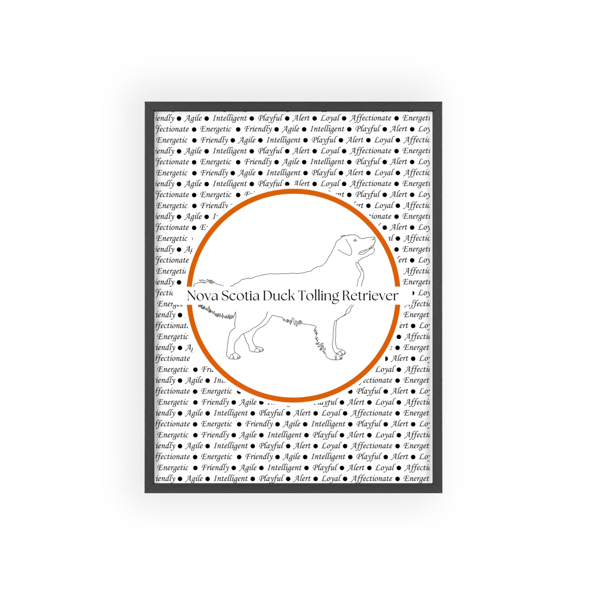 Poster i träram (tavla) med Nova Scotia Duck Tolling Retriever-motiv