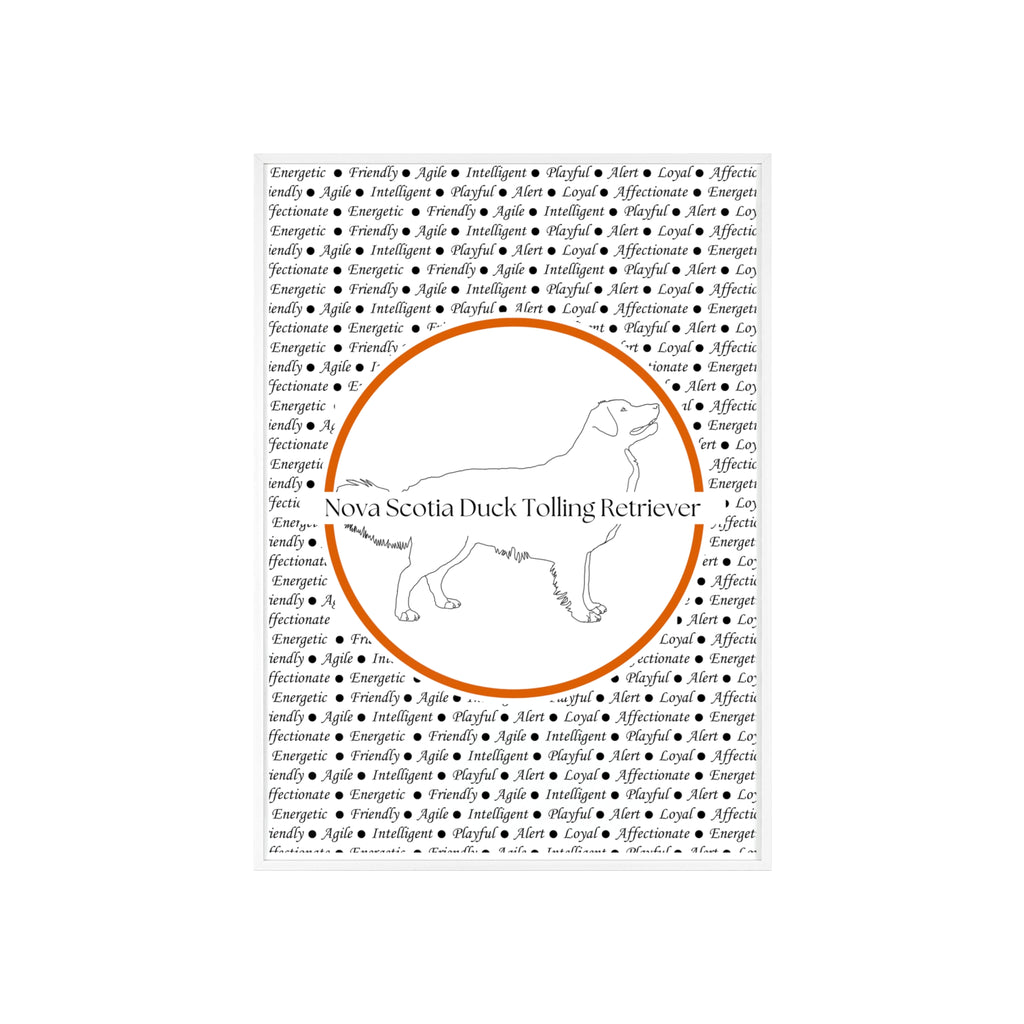 Poster i träram (tavla) med Nova Scotia Duck Tolling Retriever-motiv