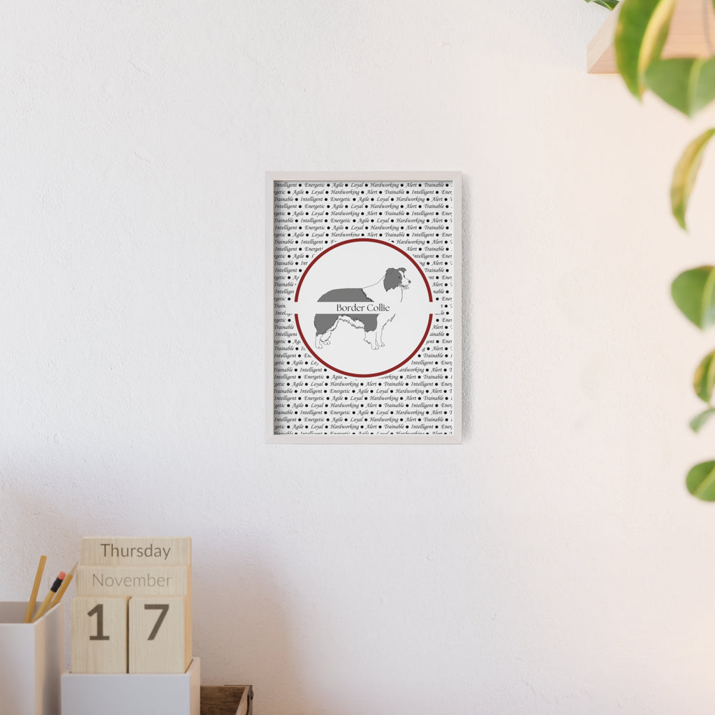 Poster i träram (tavla) med Border Collie-motiv